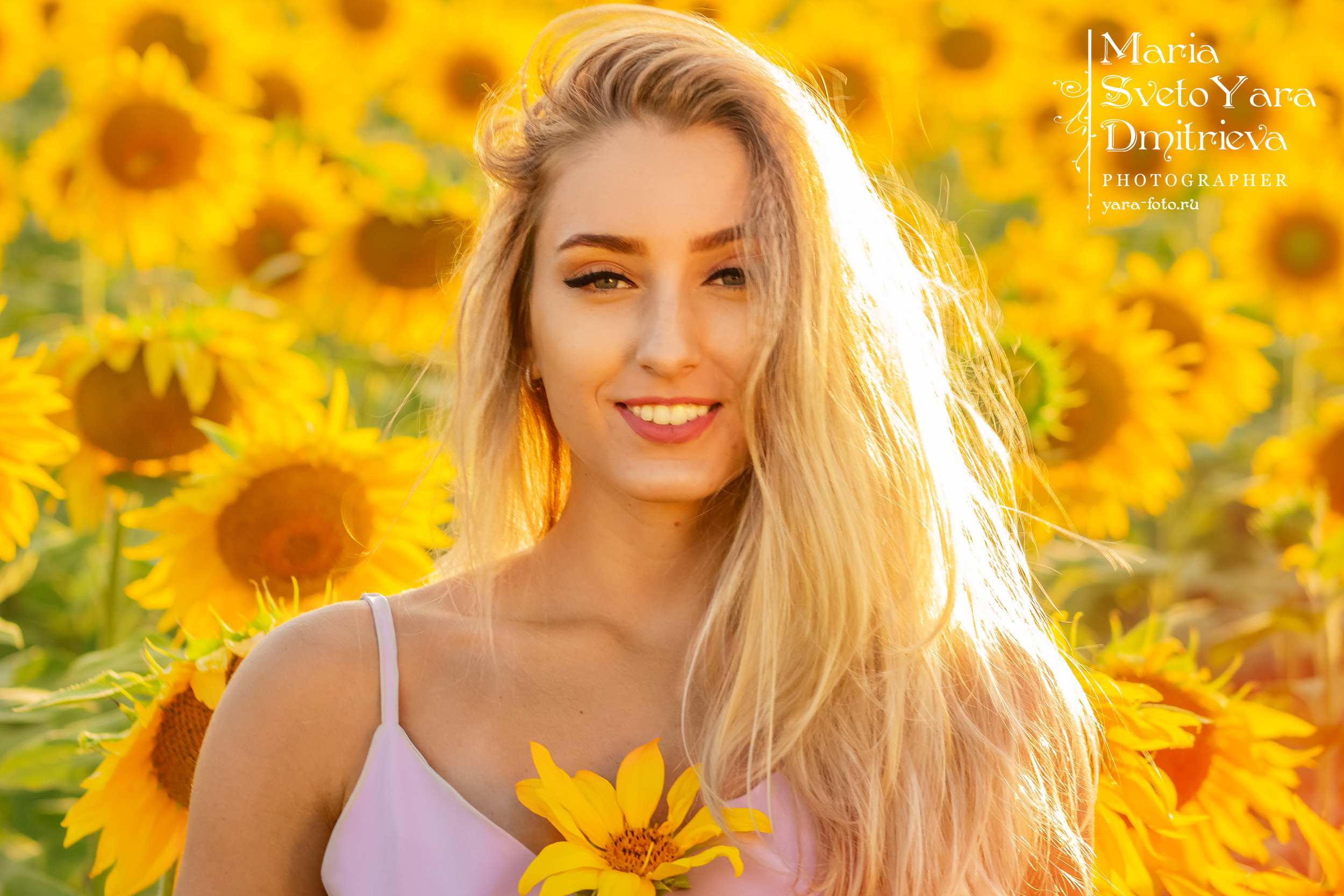 🌻 Виктория в подсолнухах 🌻. Фотограф в Симферополе и Крыму — Мария СветоЯра Дмитриева | Индивидуальные и семейные съёмки