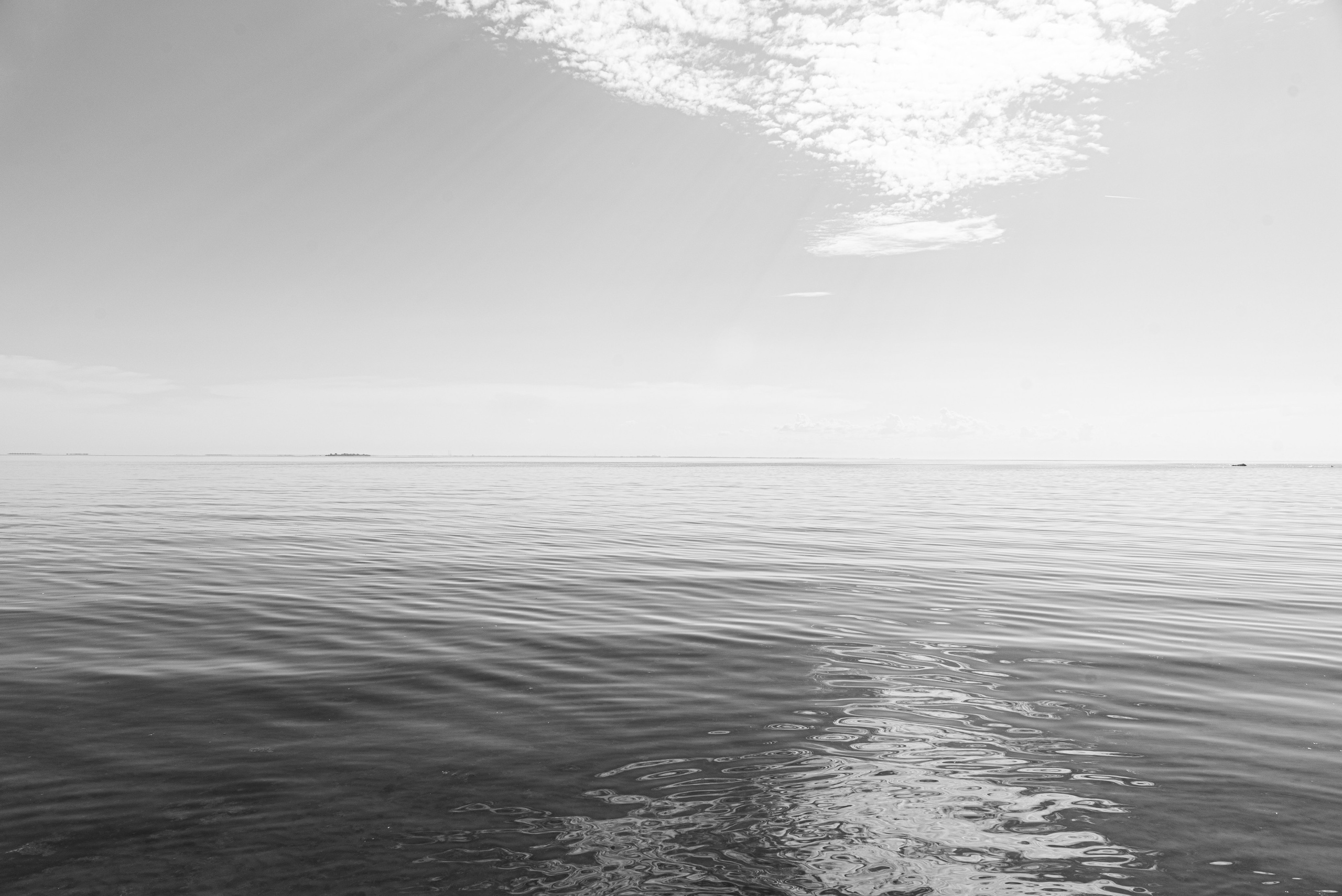 Репино. Портретный и архитектурный фотограф в Москве и Санкт-Петербурге