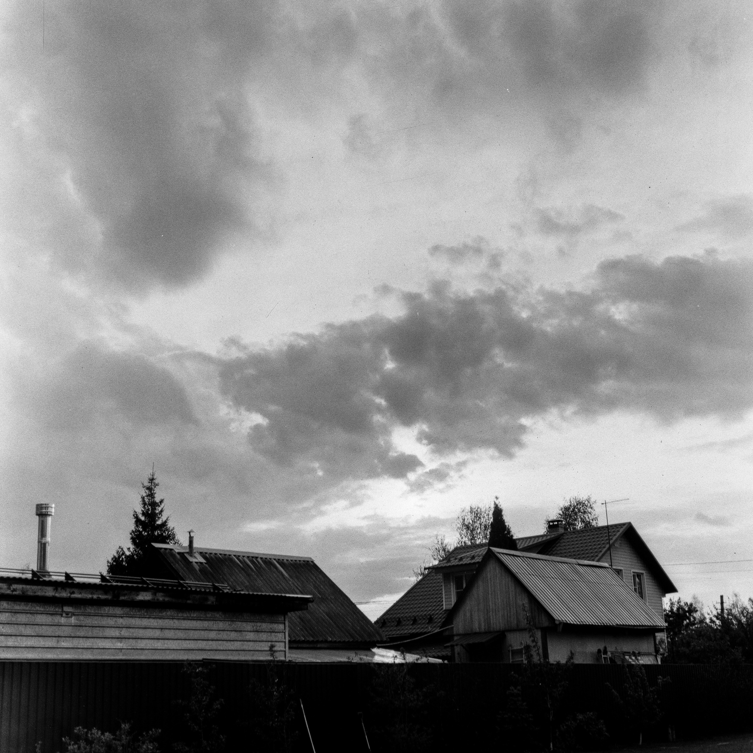 Zanza Bronica S2A — Nikkor-P 75 mm f2.8 | Shanghai P3 100 | Давыдовское 17 мая 2025 года