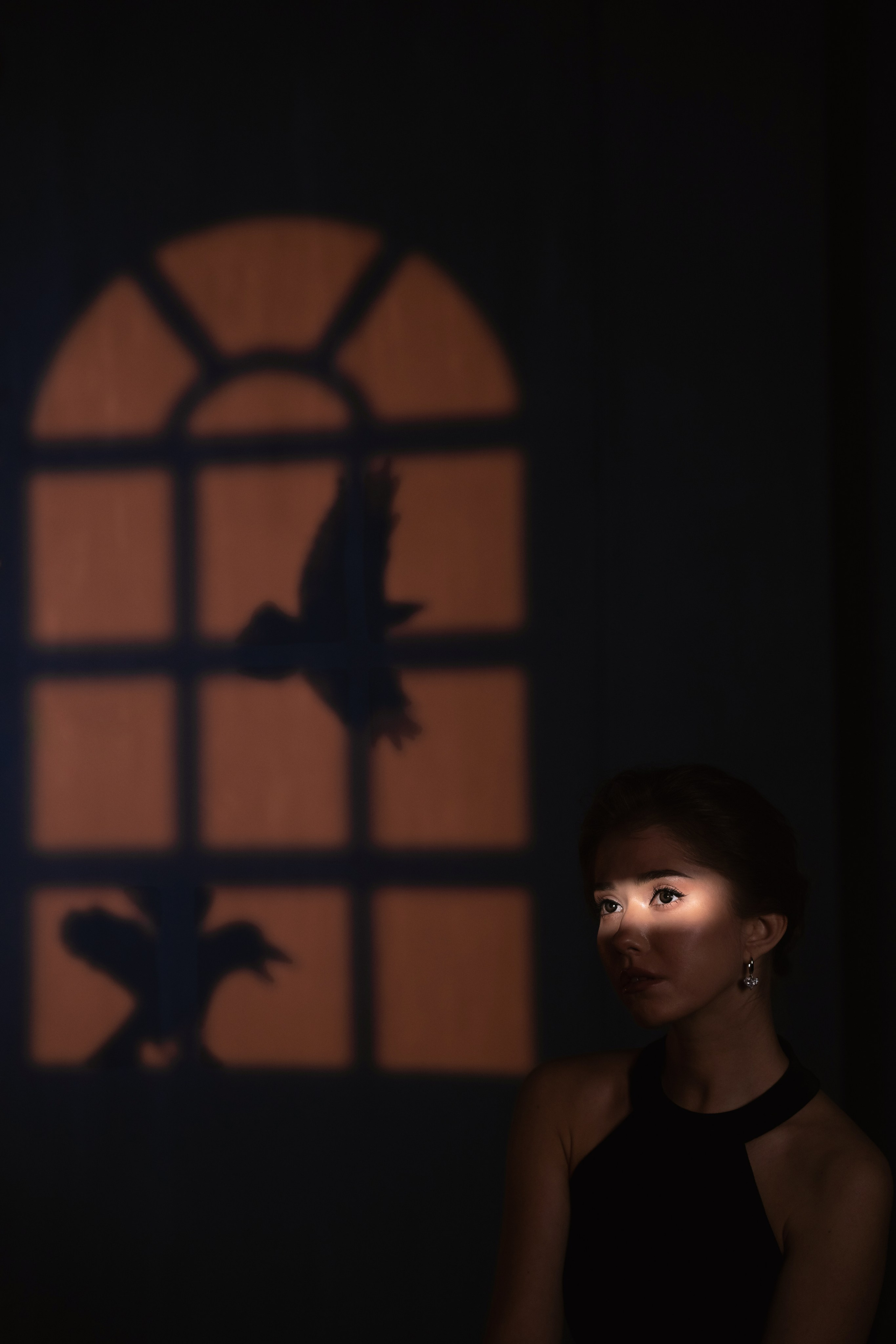 Анастасия (оммаж «Птицы»). Главная