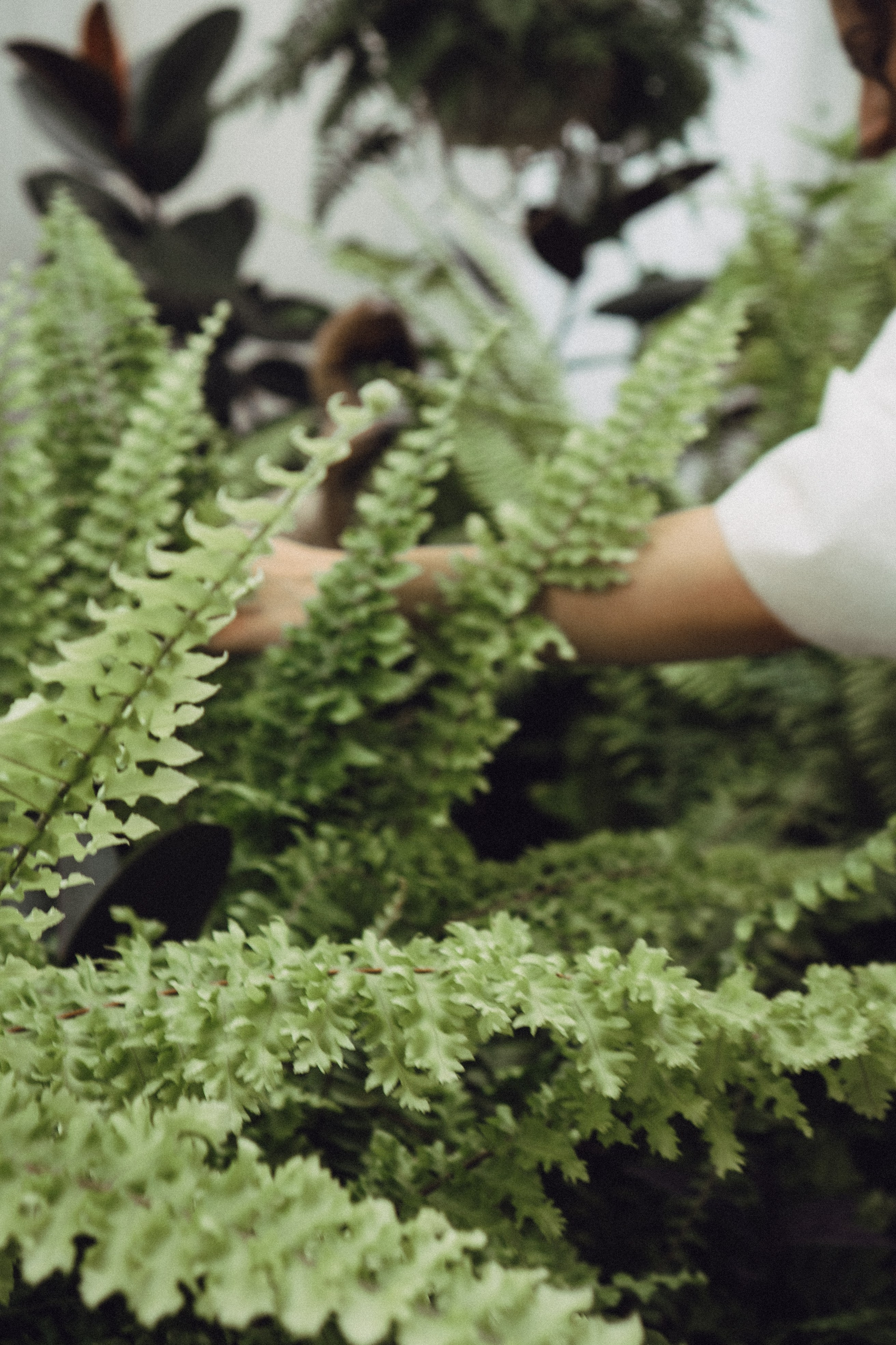 СВАДЕБНАЯ СЬЕМК В ПАРКЕ 300-ЛЕТИЯ. Профессиональный фотограф, Санкт-Петербург — Виктория Богомолова