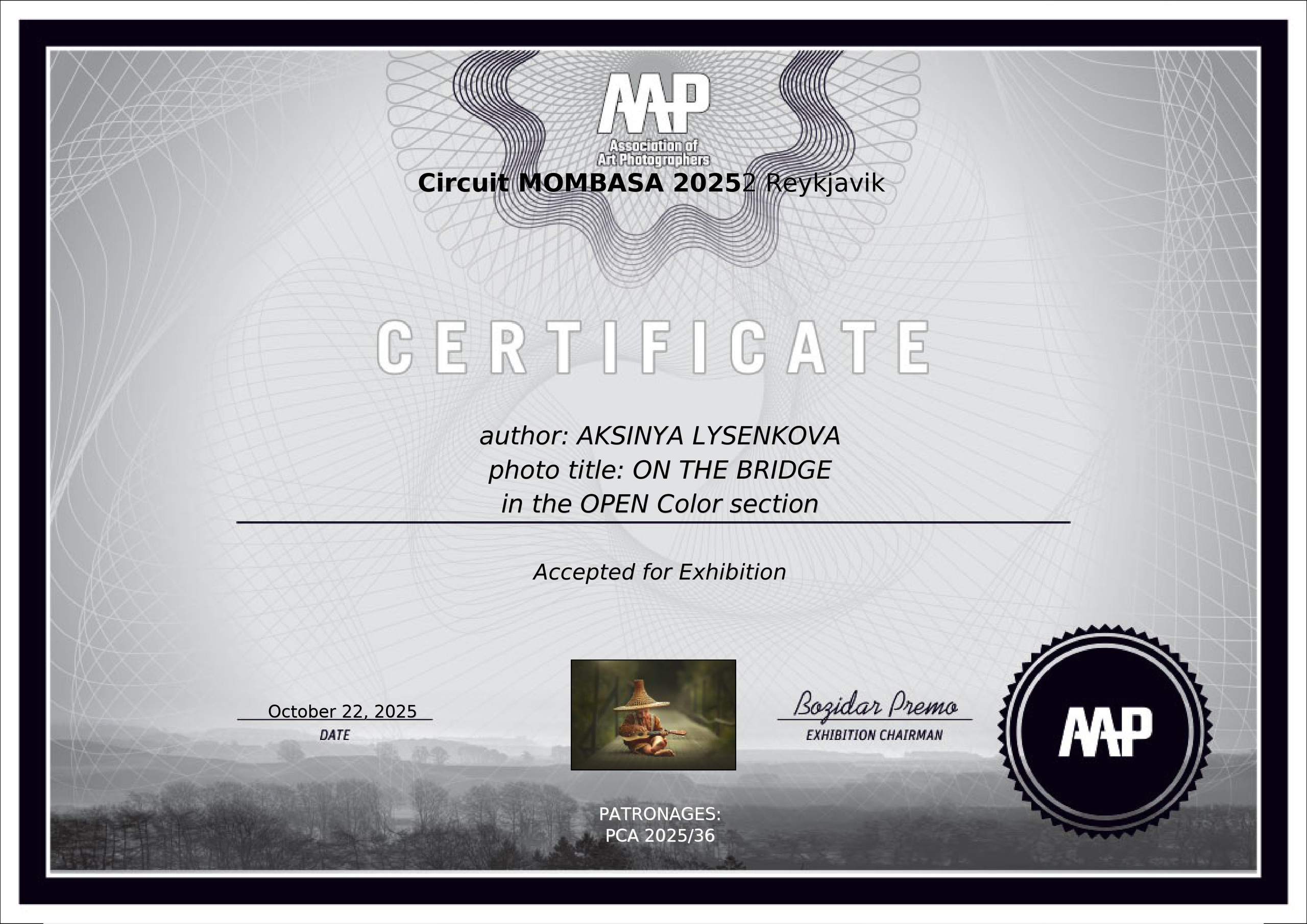 Дипломы. Детский, семейный фотограф в Ижевске и Москве Аксинья Лысенкова ADEN