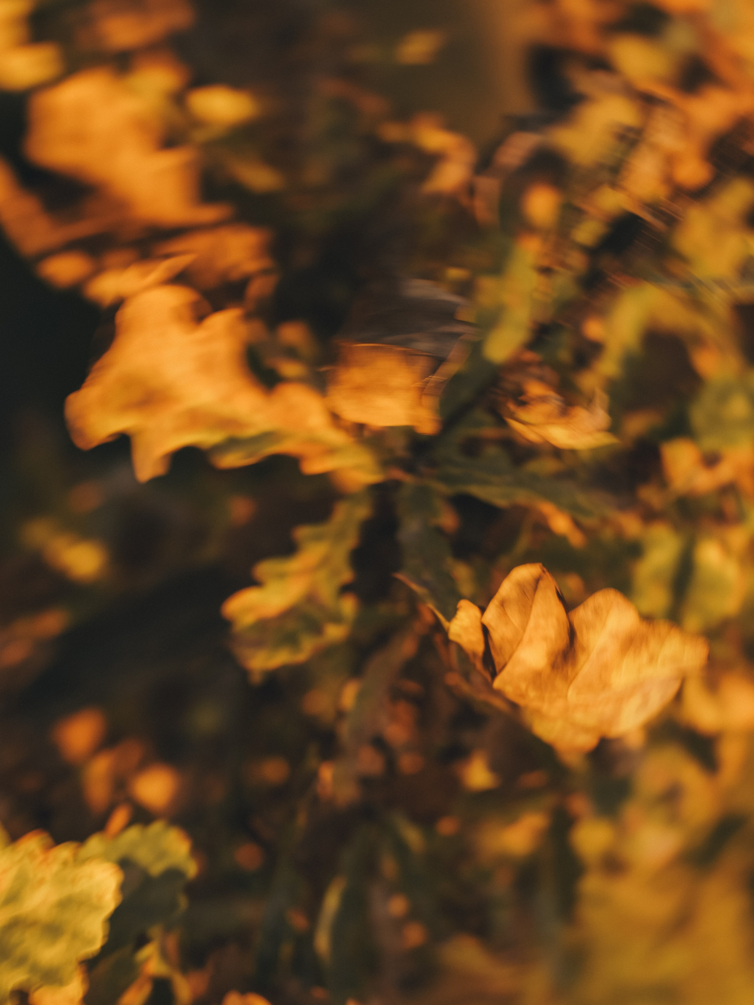 Фото истории. Коновалова Юлия