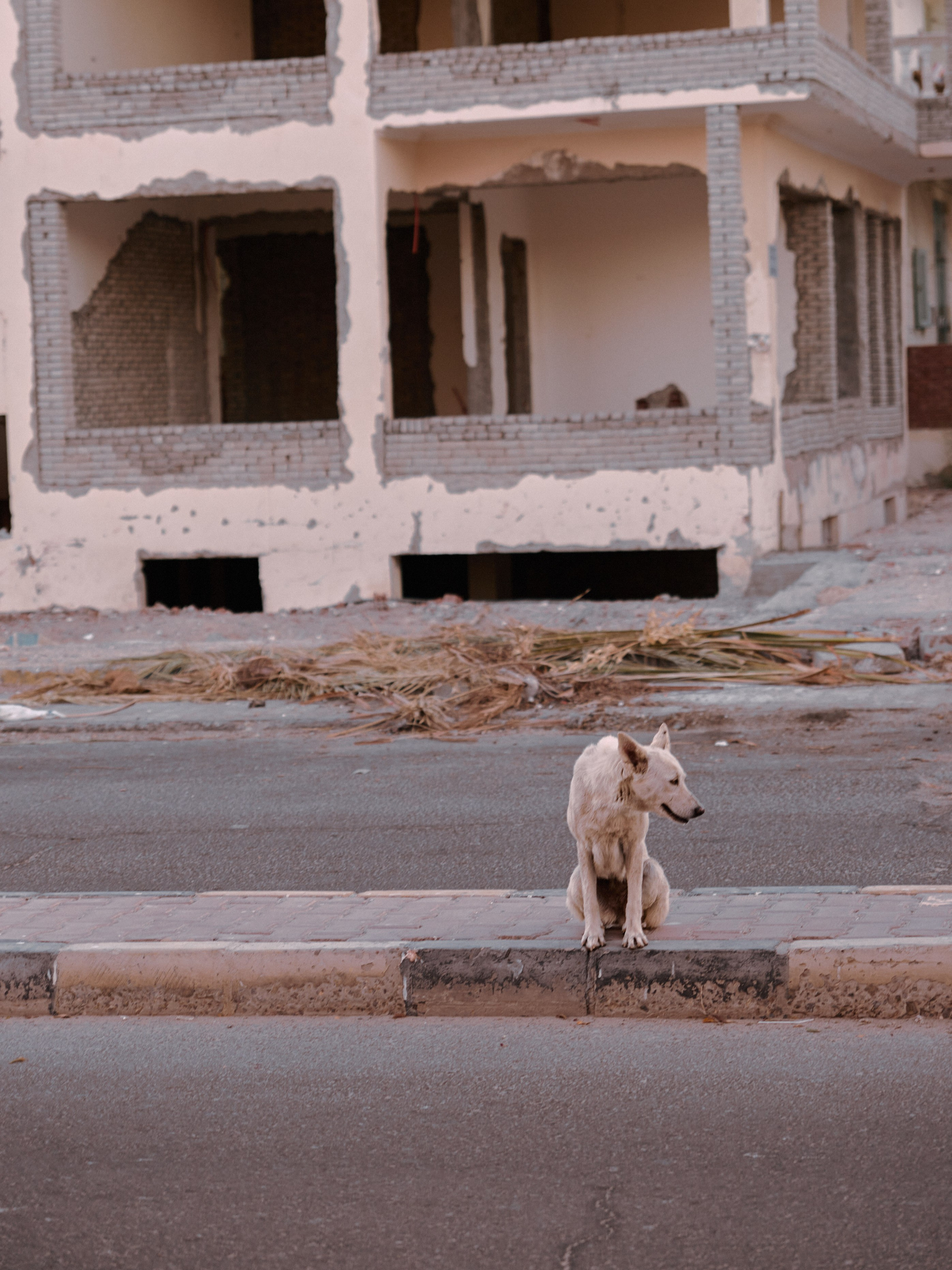 Диптих. Jorgis — фотограф в Хургаде / обучение фотографии