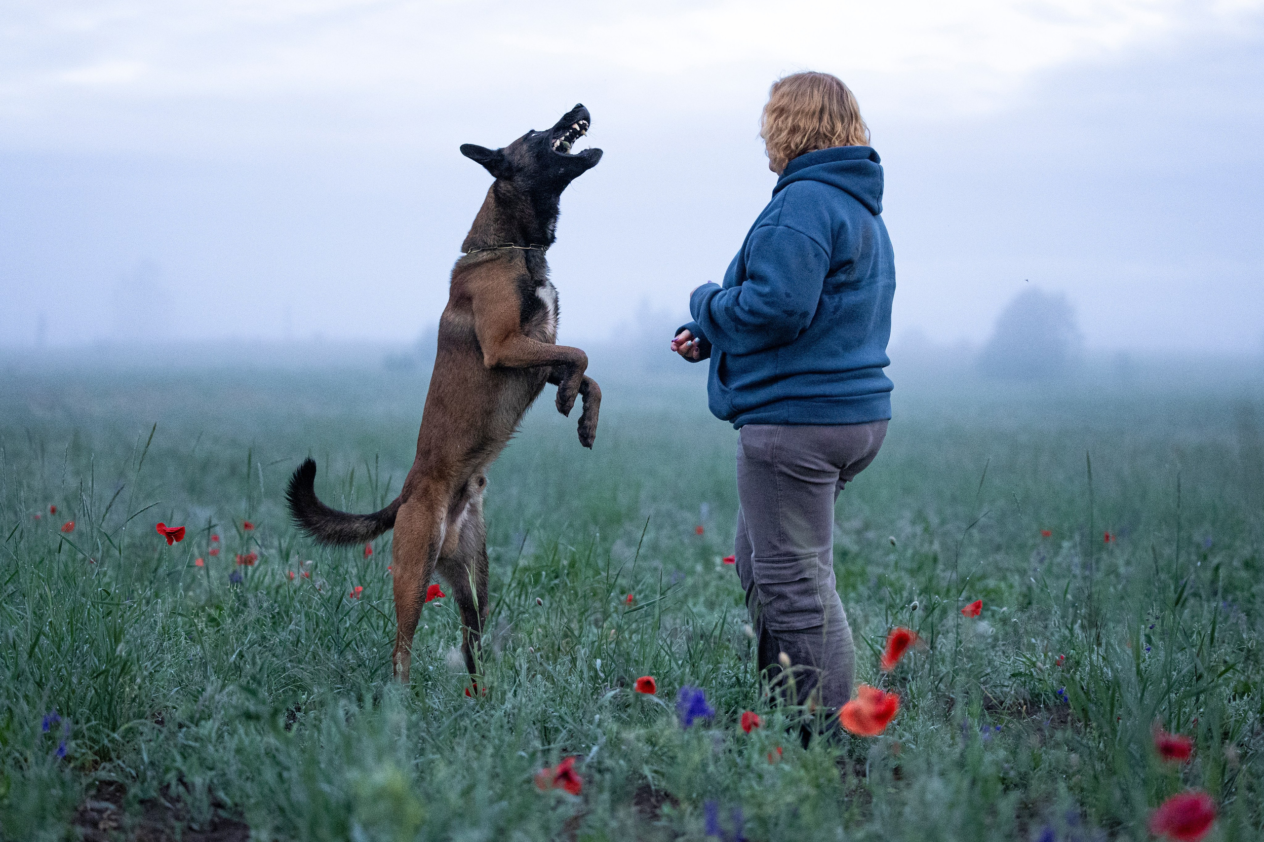 Маковое поле. Фотограф-анималист Анна Маринич