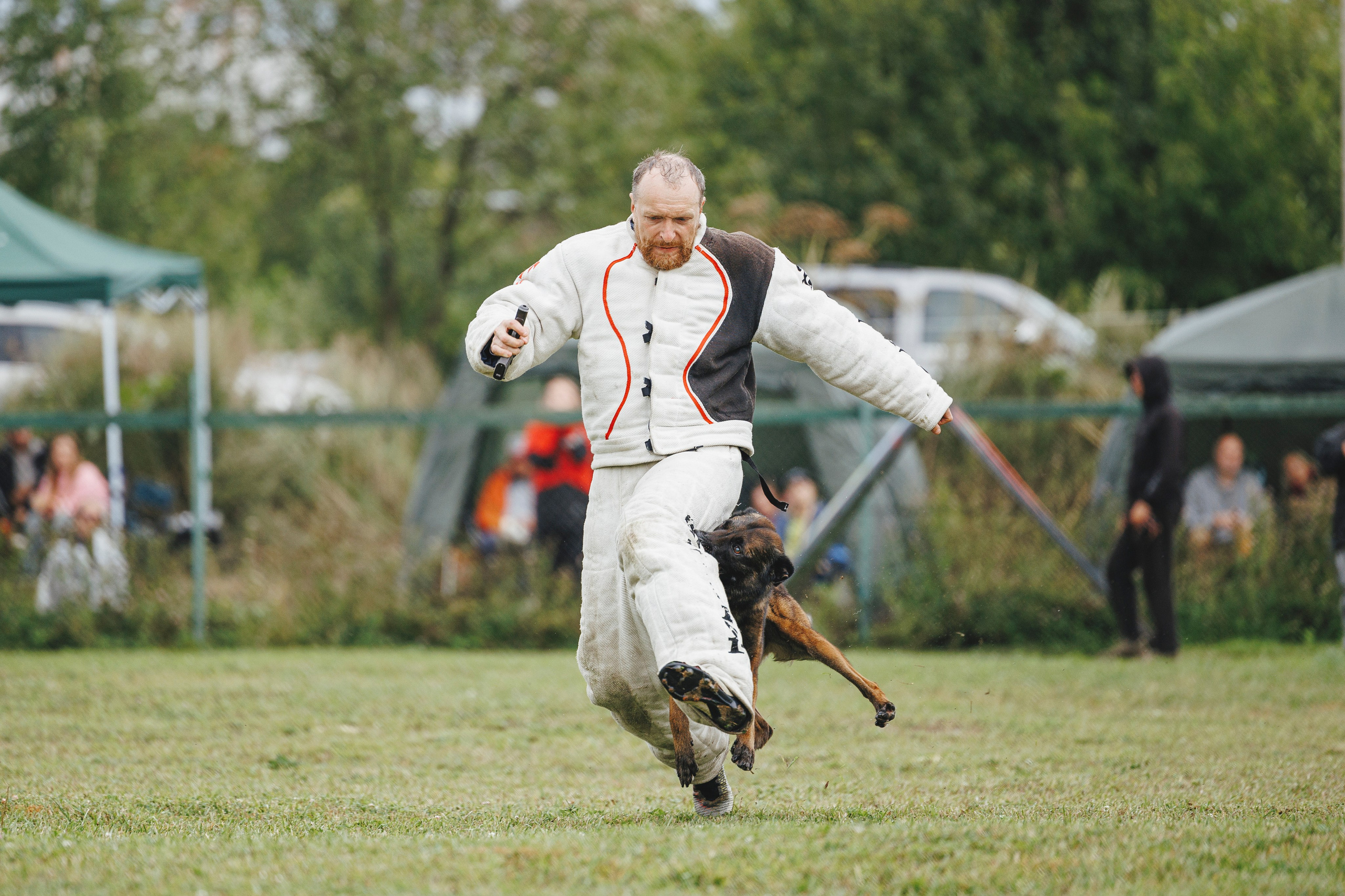 08.08.25-10.08.25 ЧР по мондьорингу г. Вологда. Фотограф-анималист Анна Маринич