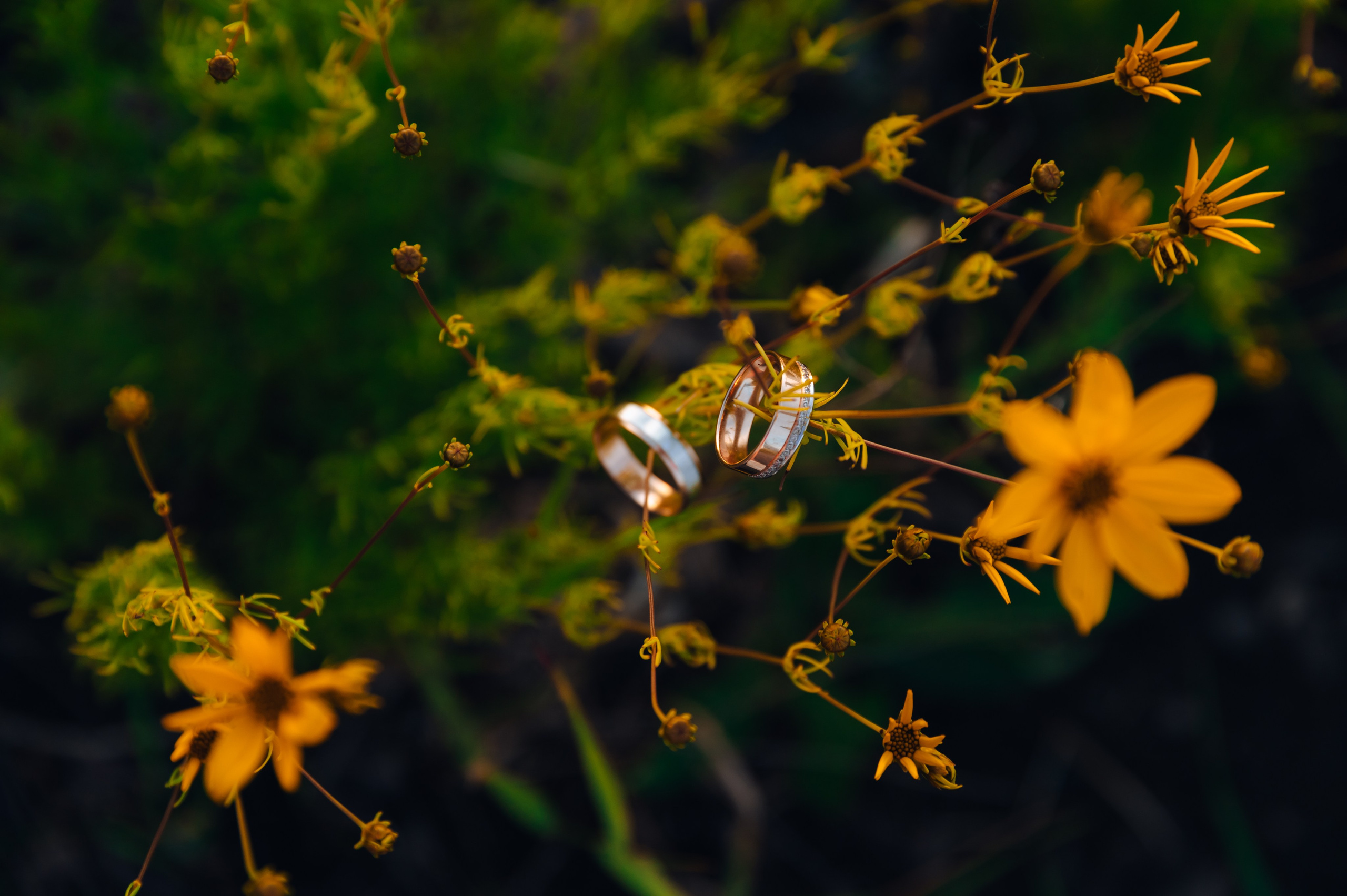 Надя и Женя. Детский и семейный фотограф Катерина Мишина