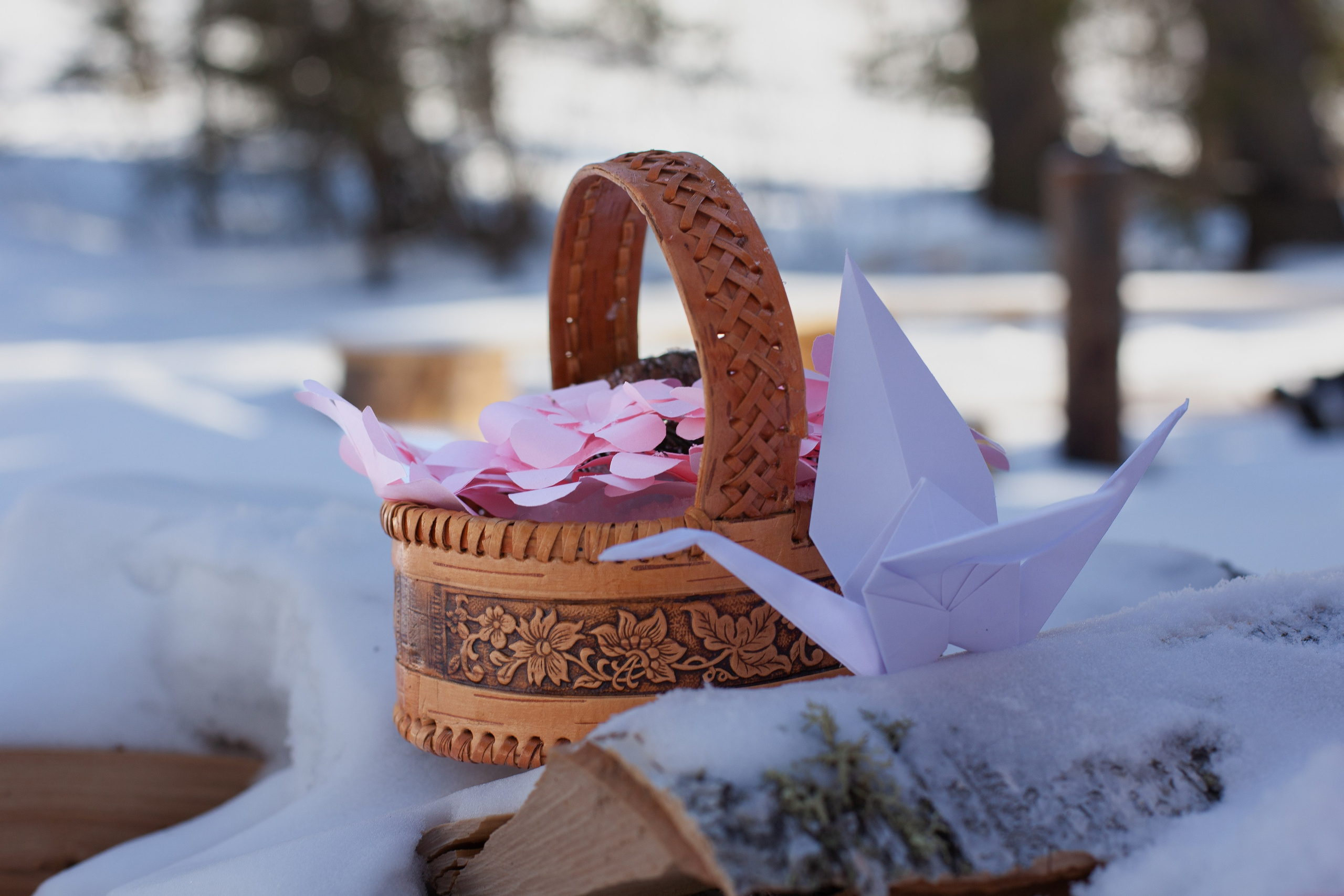 Детская фотосессия в лесу. Фотограф в Томске Евгения Гуляева