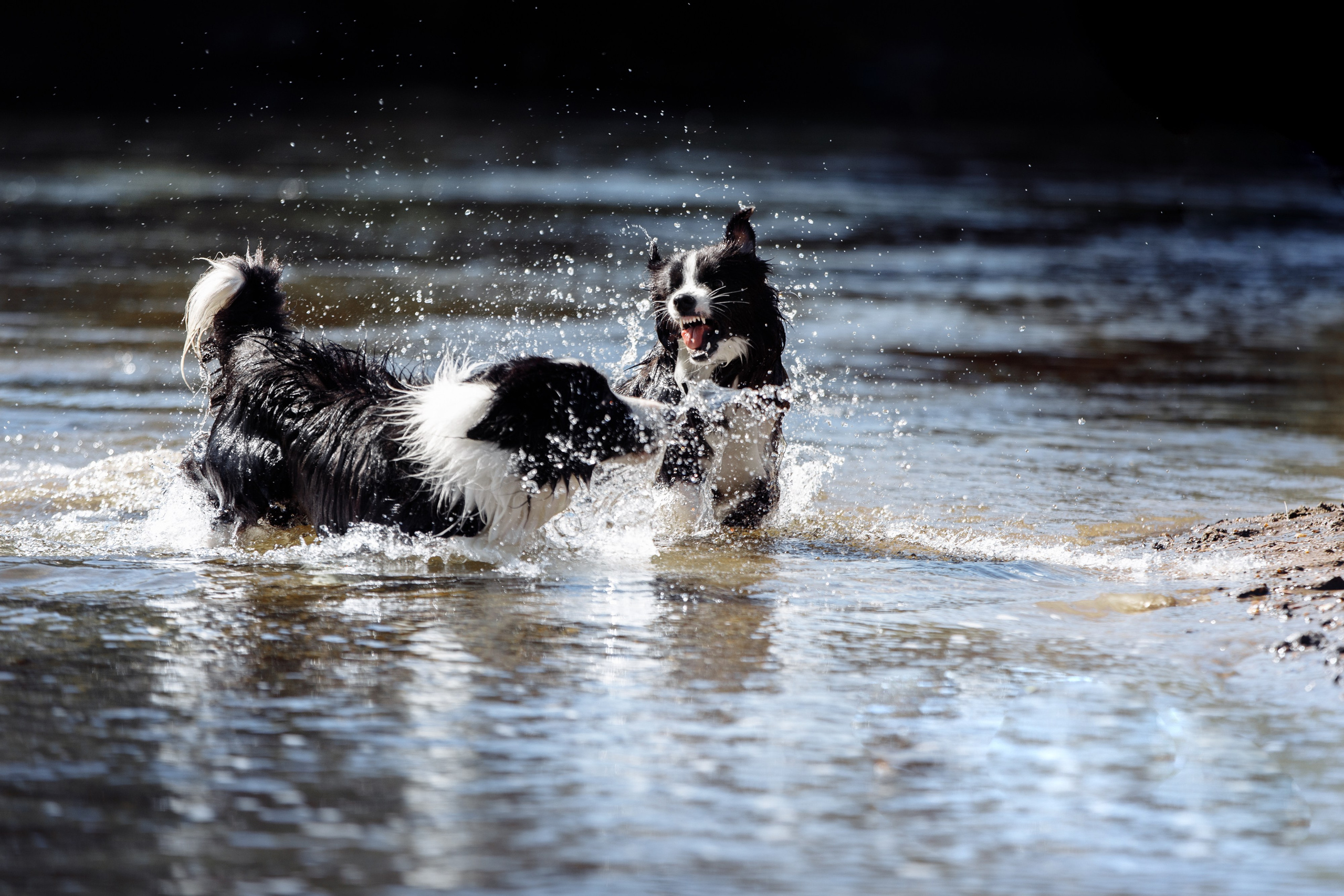 Водяные в Новотроицке. О нас