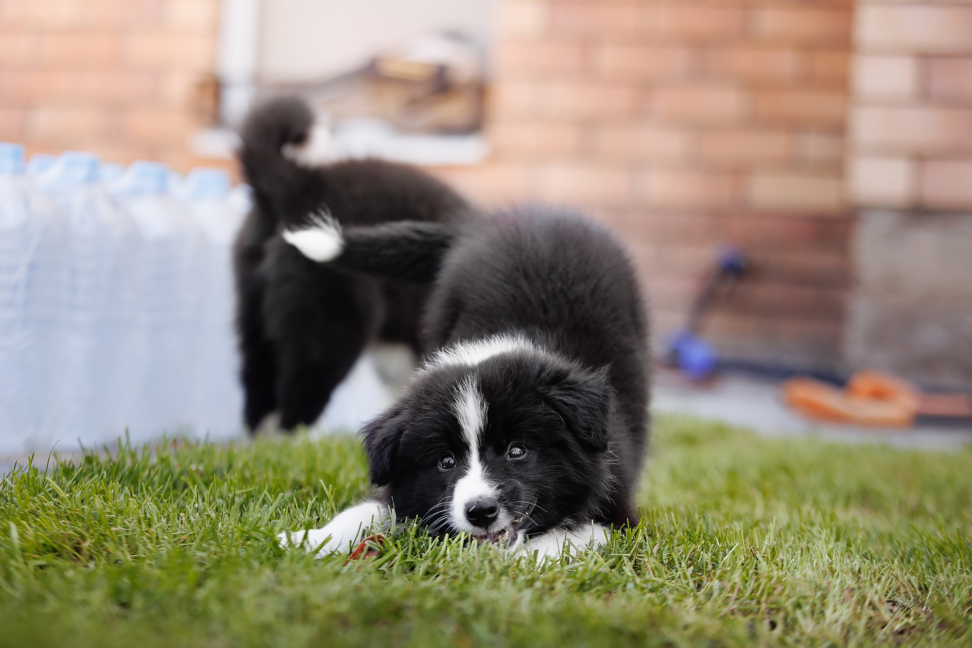 Трава у дома. О нас