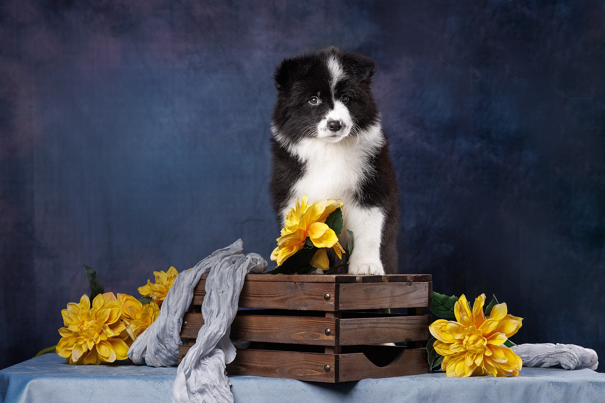 На водной основе. О нас