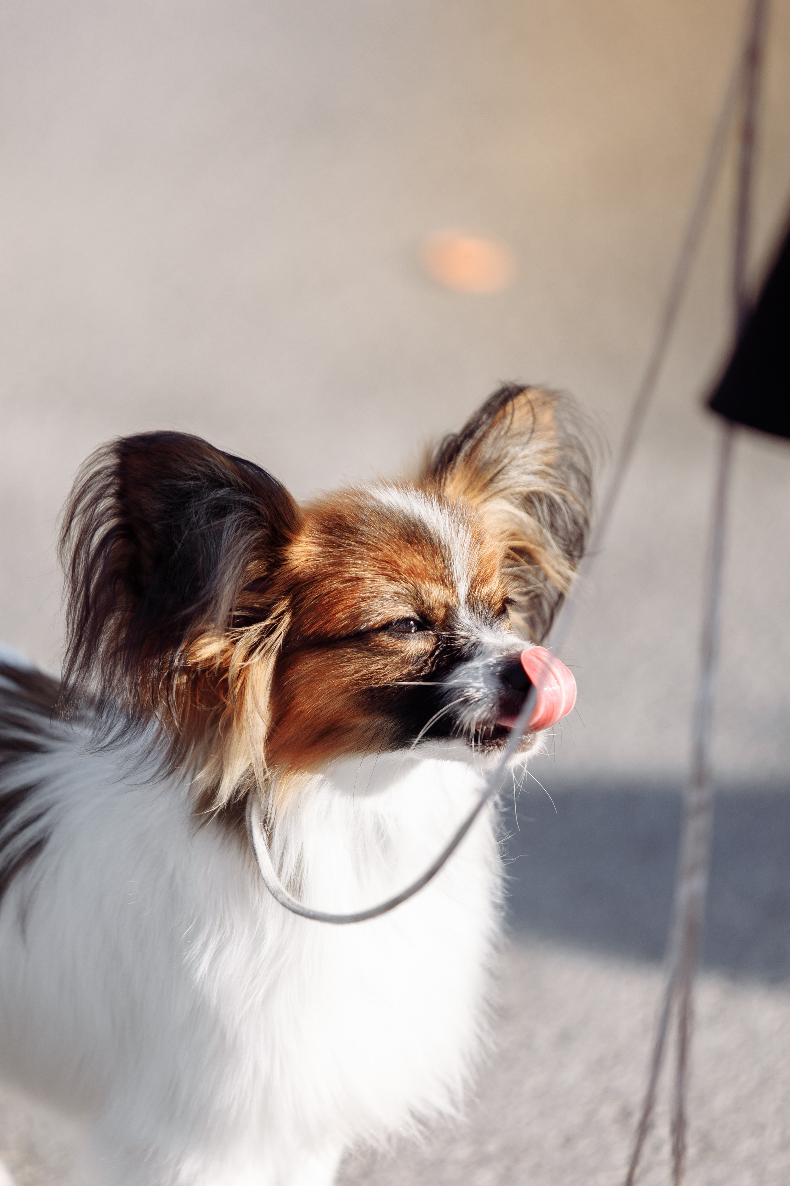 Оренбург с моно 22. О нас