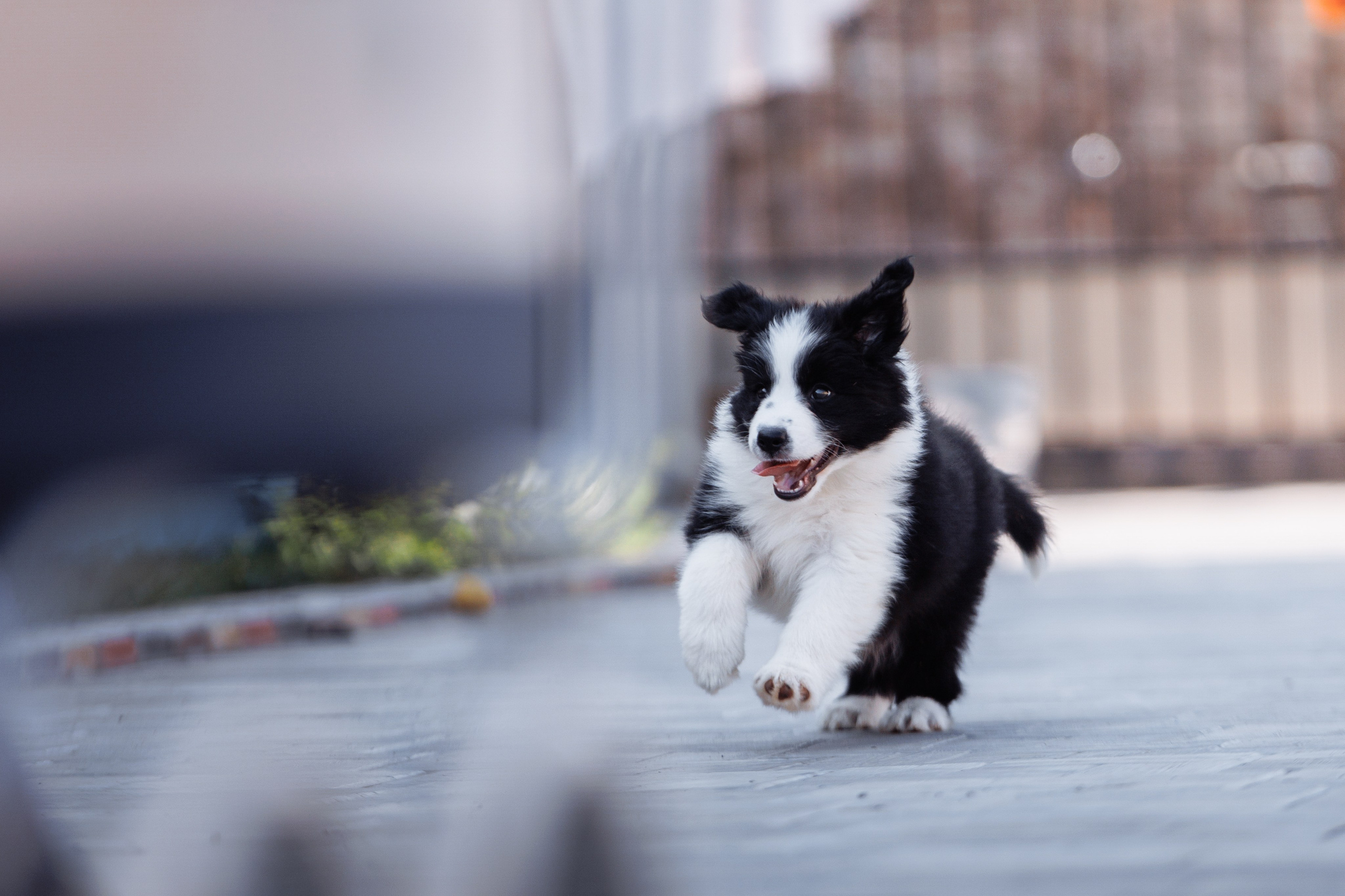 МММ — маленькое мягкое милое. О нас