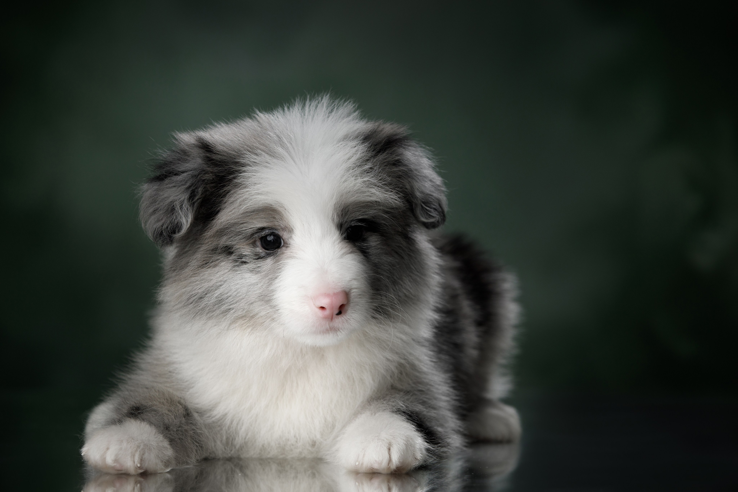 Март. Весна. 22. О нас