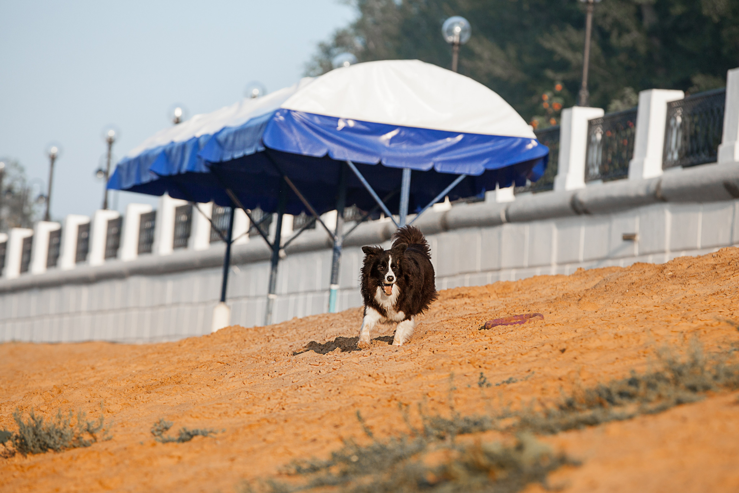 Сочный рассвет, на который решились. О нас