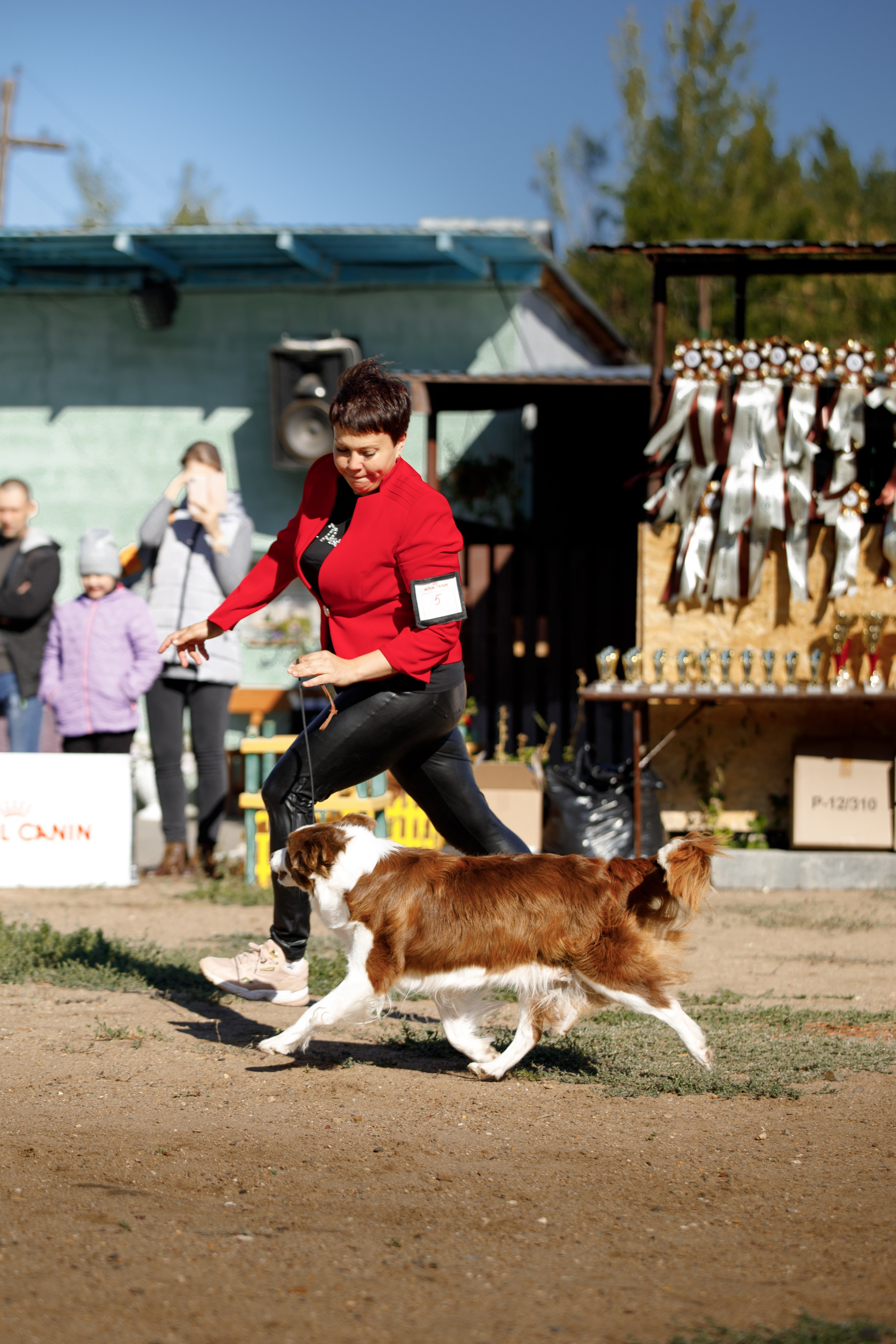 Водяные в Новотроицке. О нас