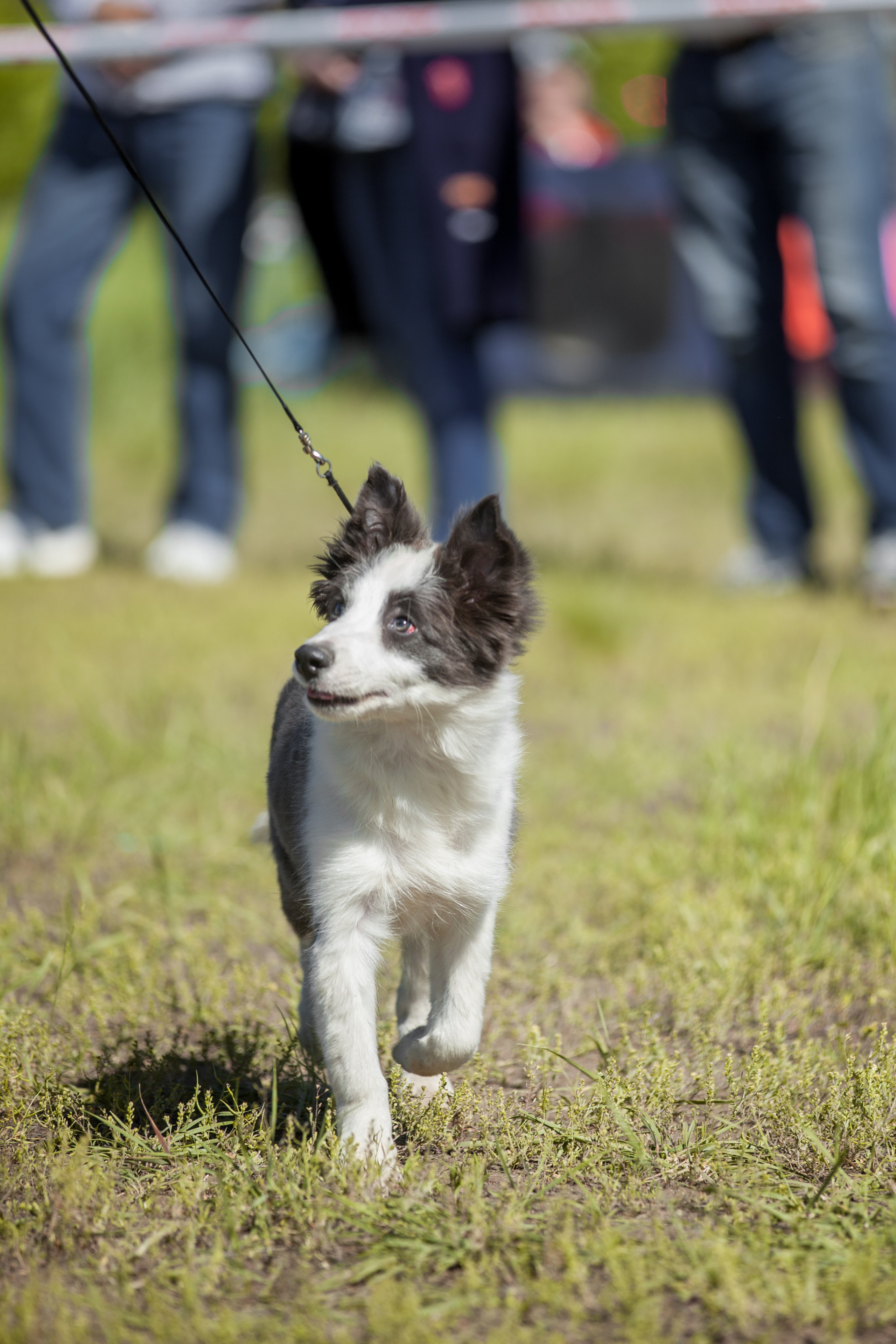 Орск 19. О нас