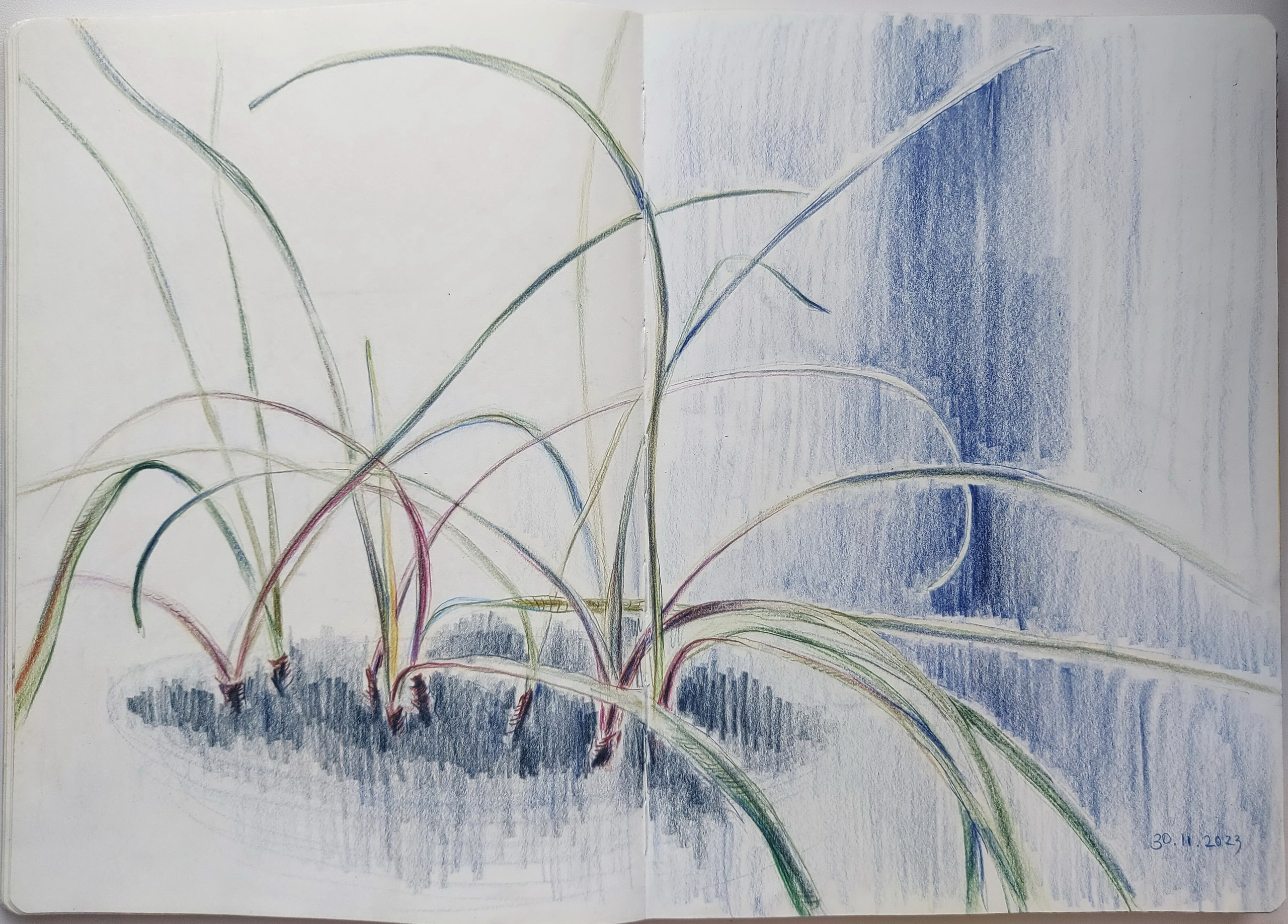 Quick Sketches. Alexander Manaenkov | Watercolor Artist from Siberia