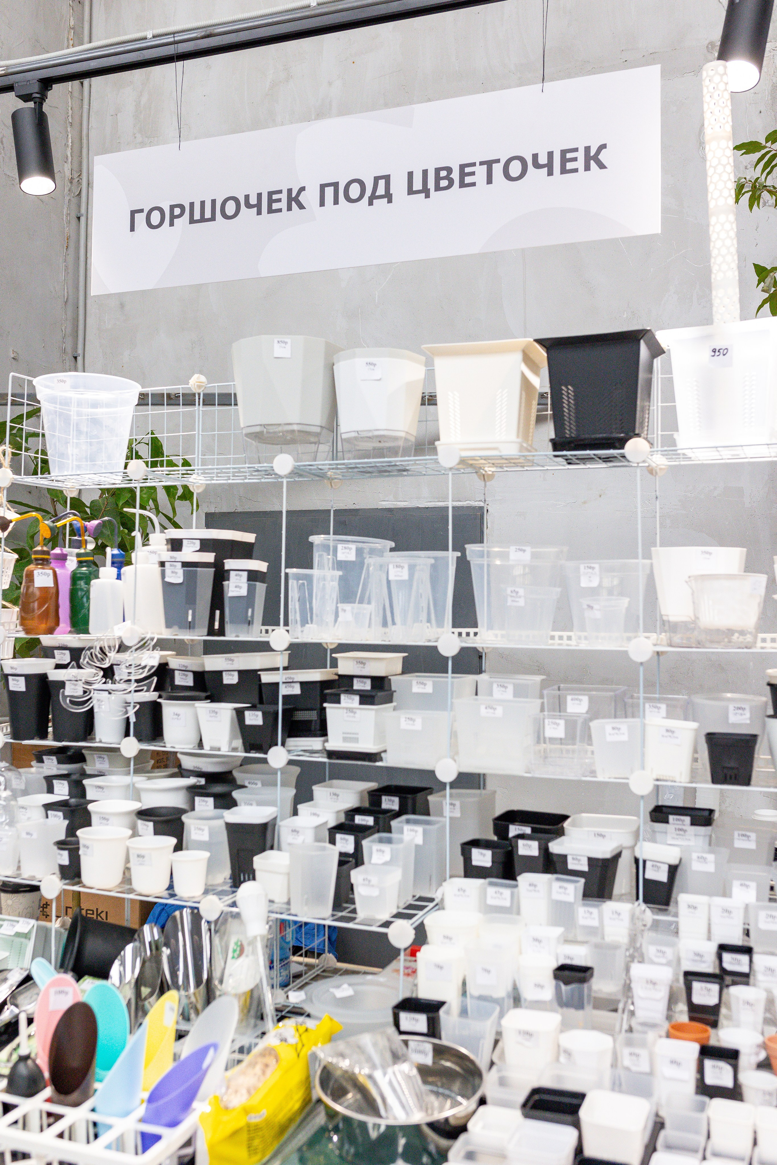 Green rare июнь 2025. Александра Куликова фотограф, Москва