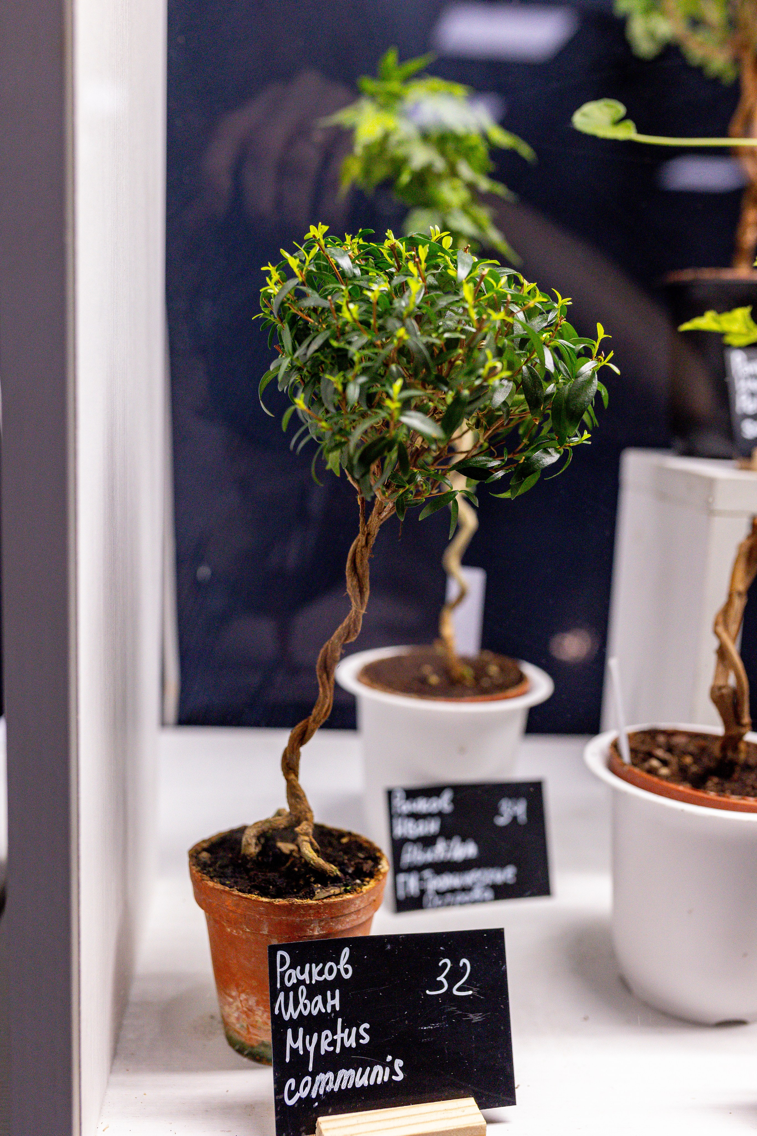 Монстериум 11–12 октября. Александра Куликова фотограф, Москва