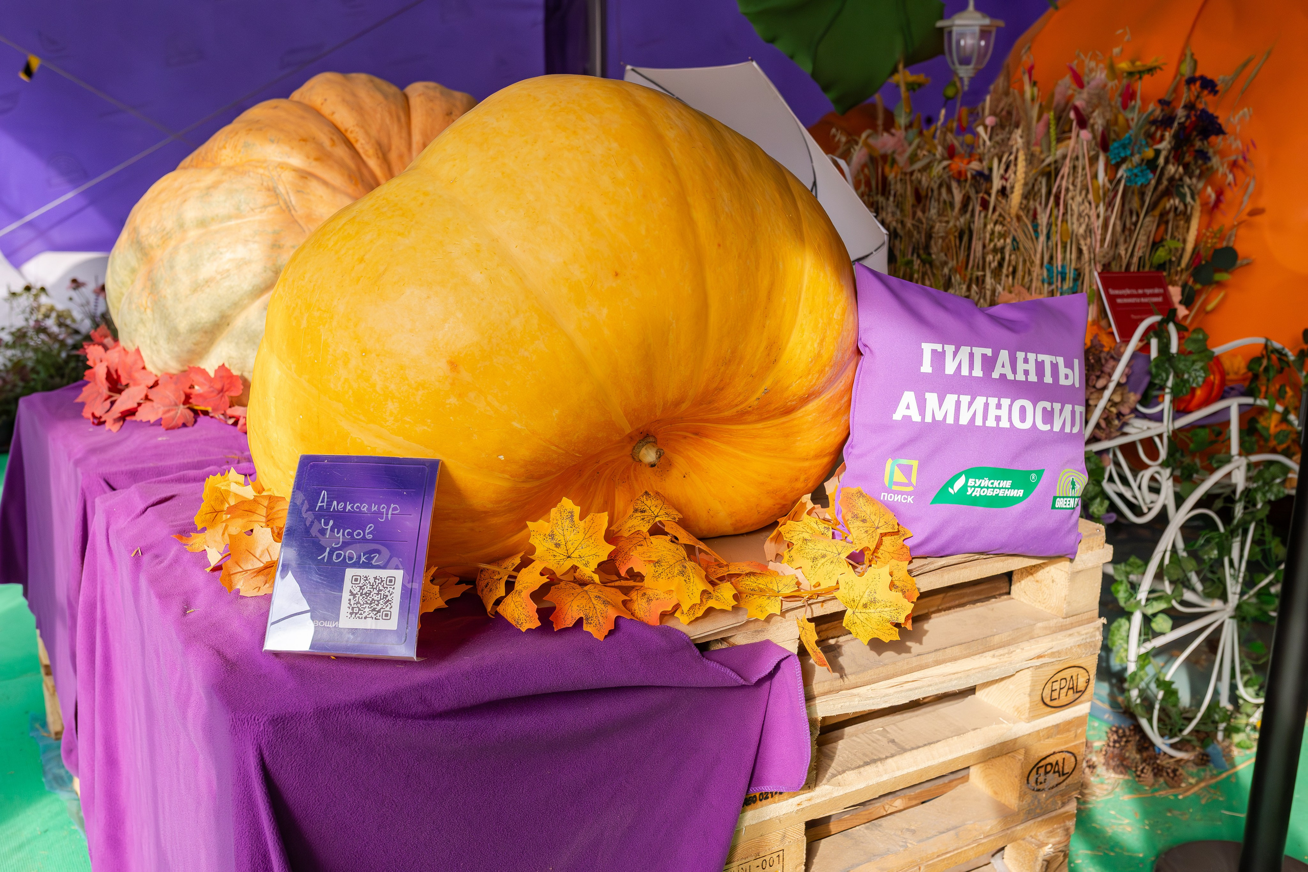 Овощи-гиганты. Александра Куликова фотограф, Москва