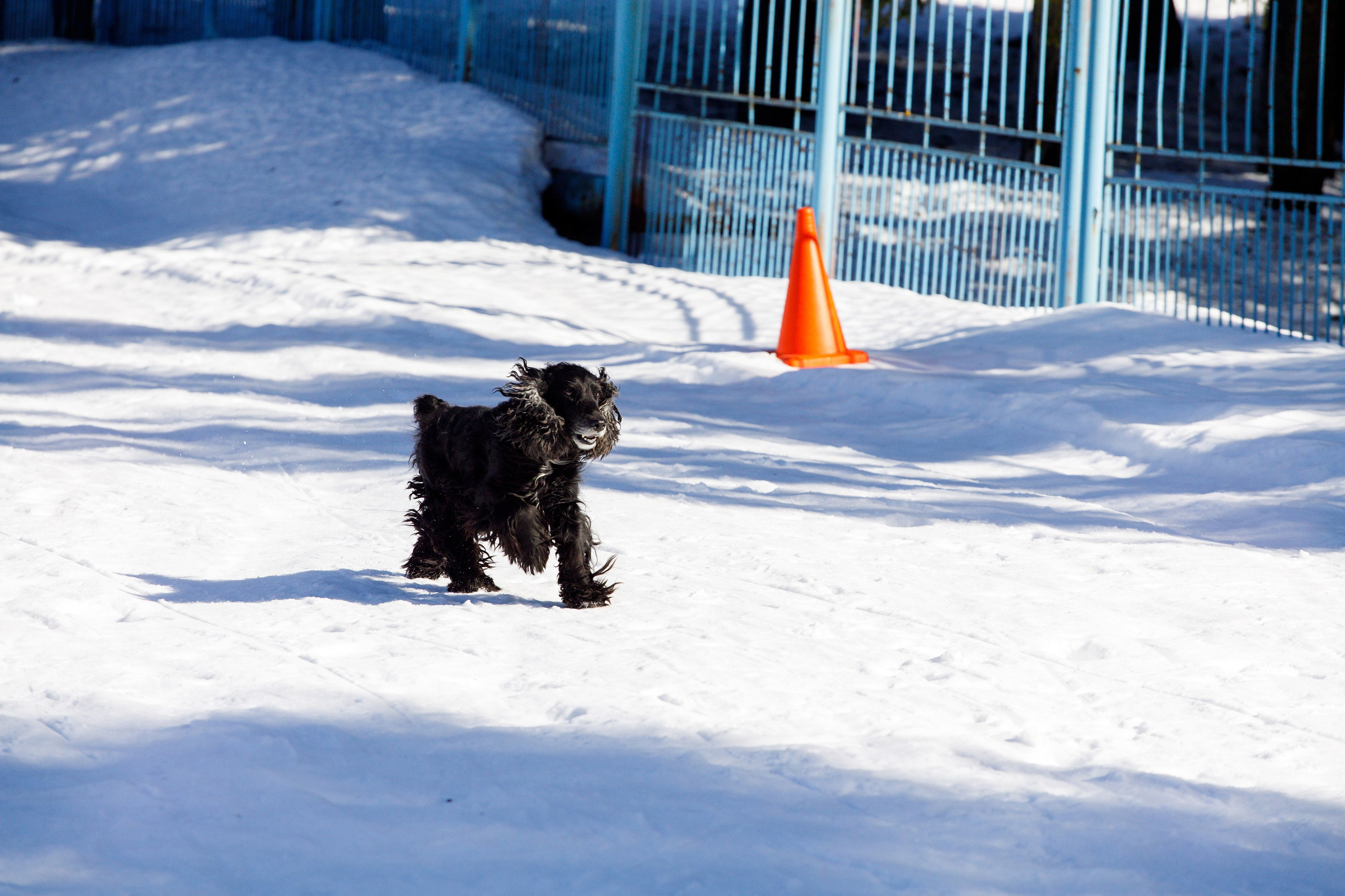 Фотограф на спортивное мероприятие. Фотограф Дмитрий Молчанов | Фотограф Пермь | Фотограф