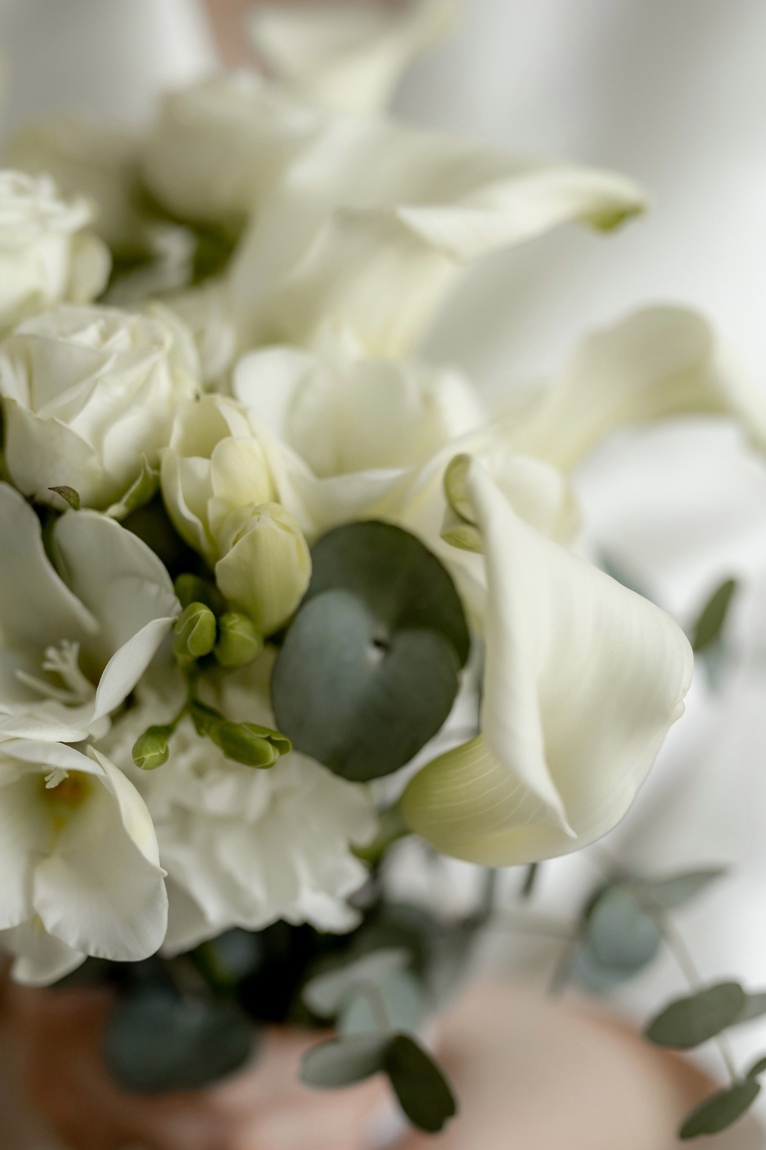 Эмиль и Мария 22/02/2025. Свадебный и семейный фотограф в Севастополе и в Крыму Анастасия Корчак