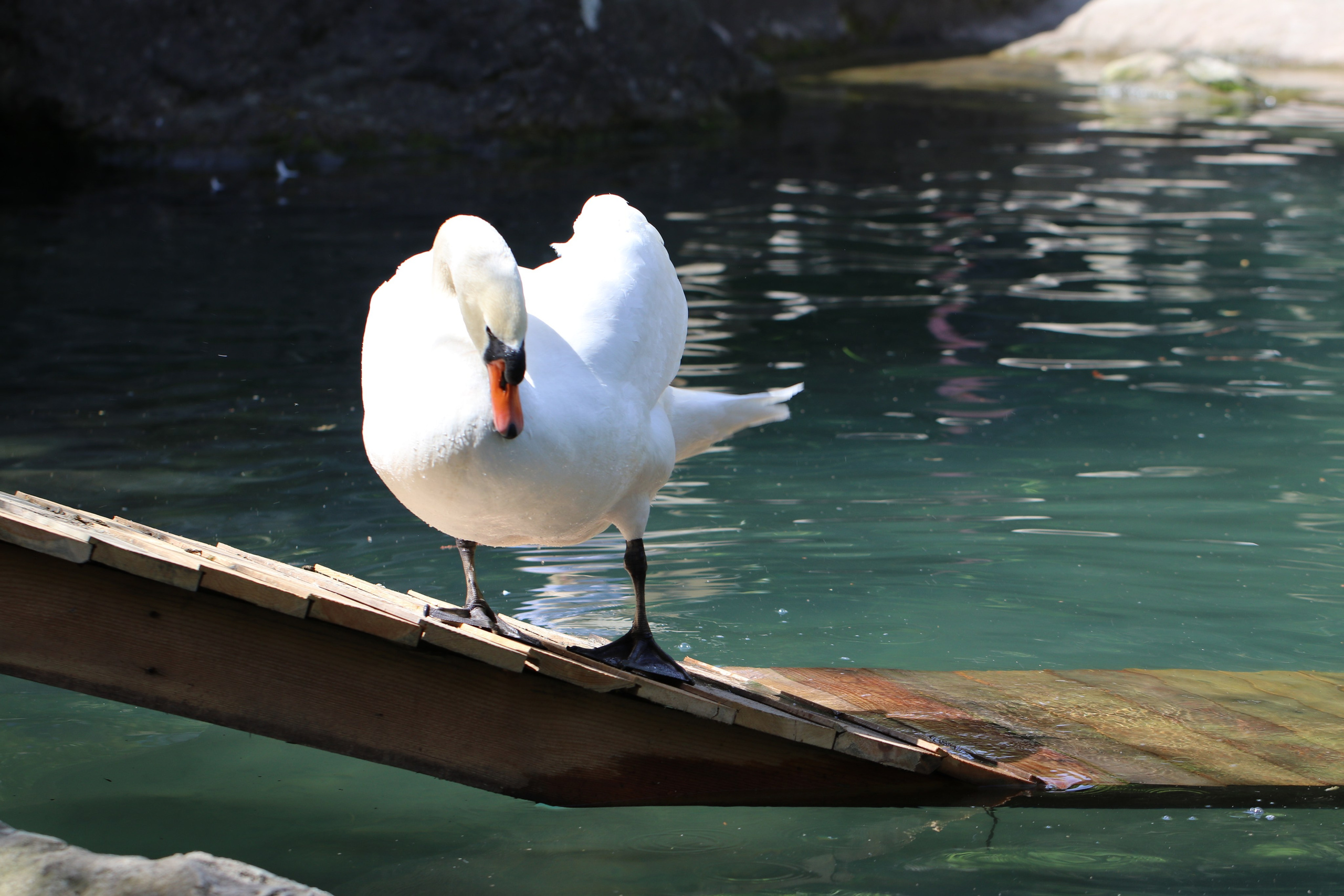 Крым. ЮБК (Бахчисарай, Кастрополь, Таракташская тропа). Май 2021. Путешественник-фотограф из Санкт-Петербурга Татьяна Свистулина