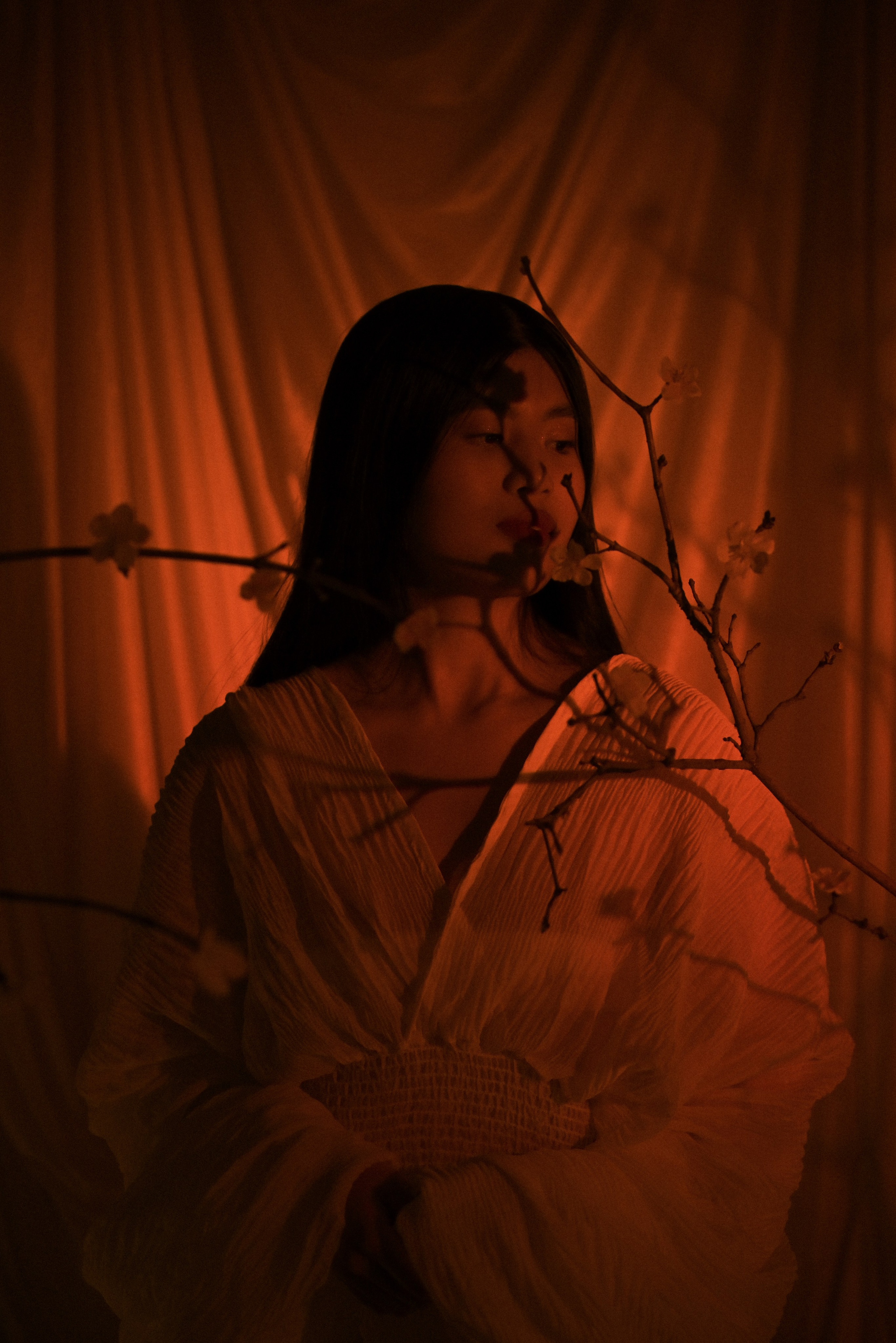 Сакура. Ваш фотограф