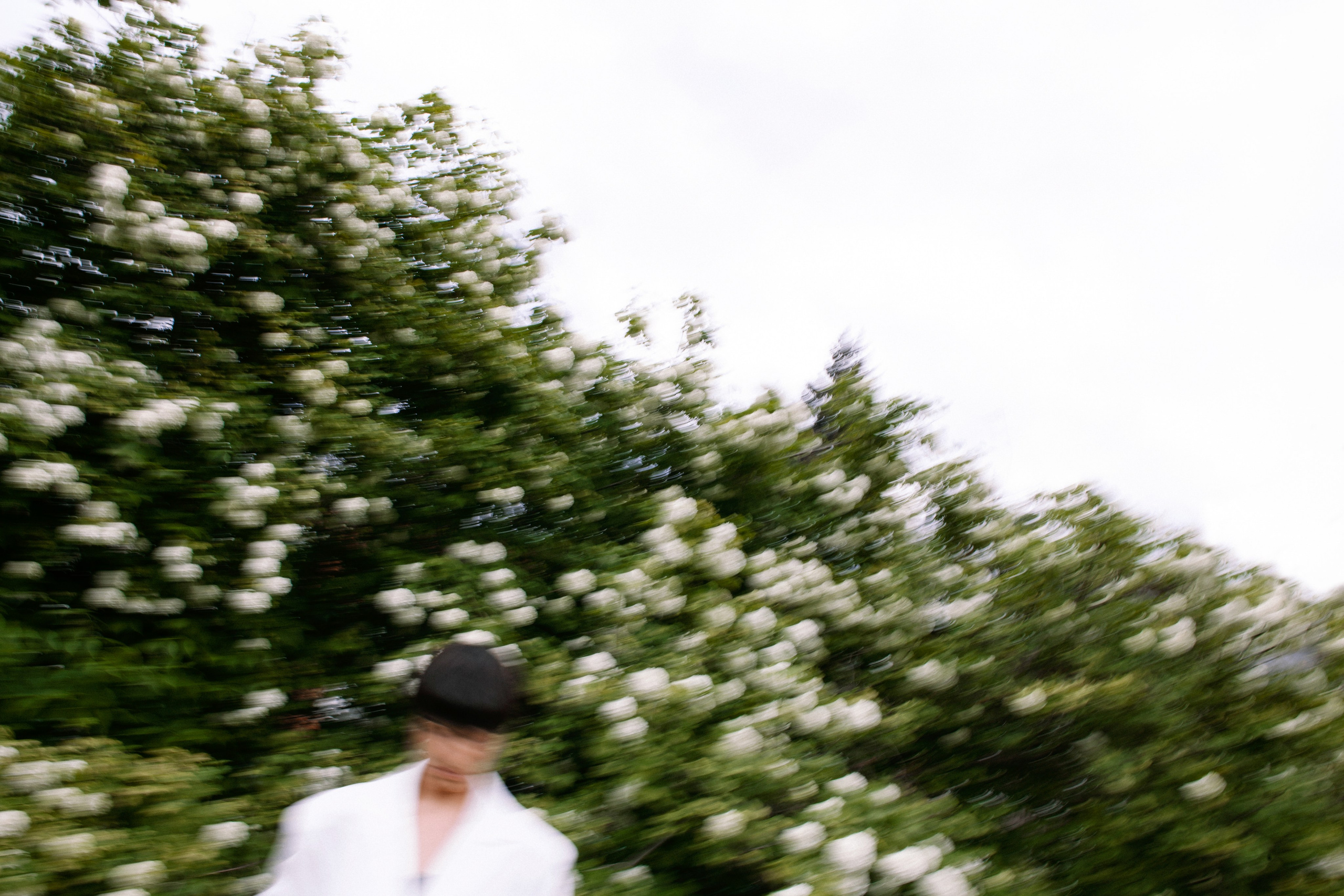 Шушан на ВДНХ. Портретный фотограф в Иванове Ольга Гуральник