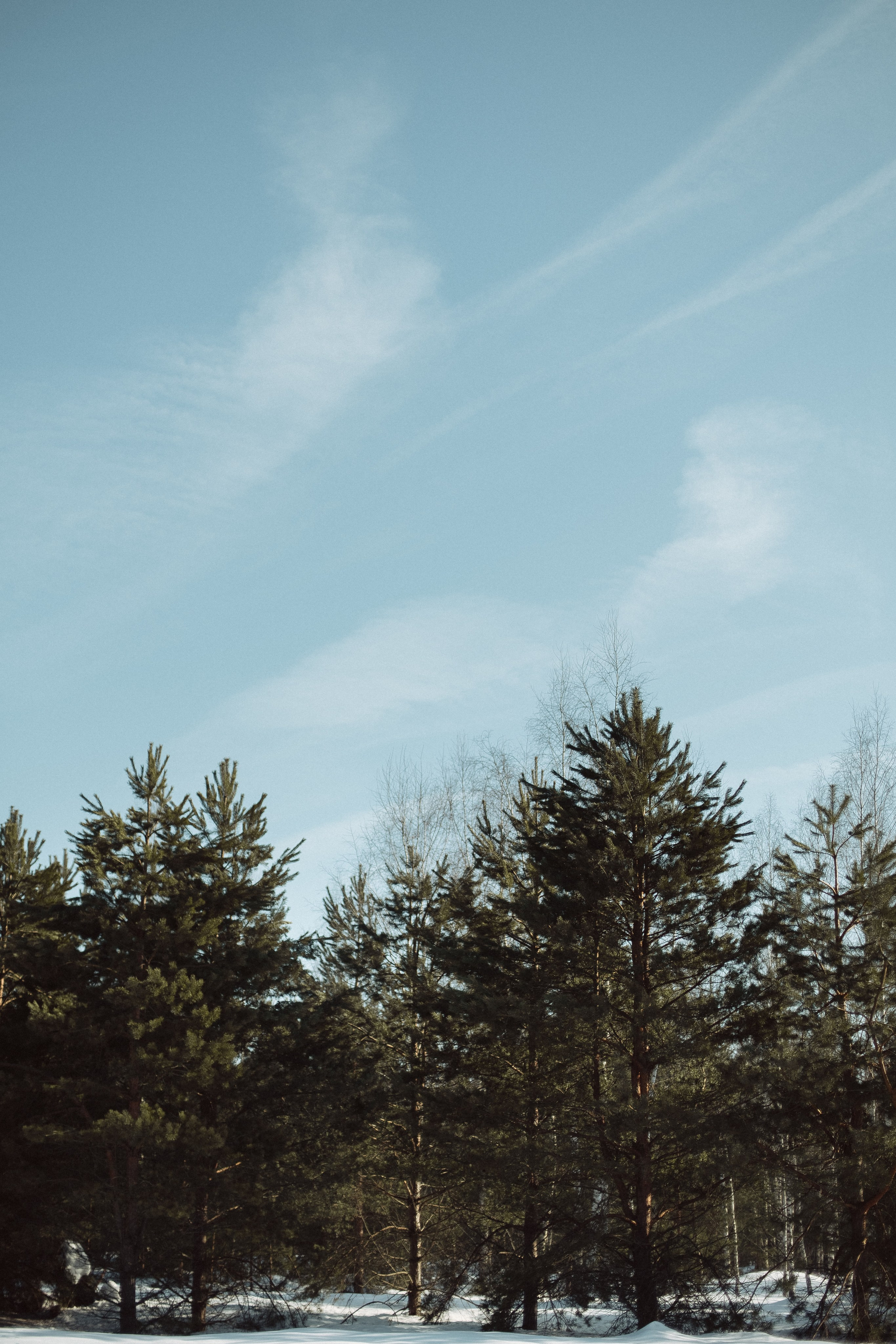 Экопарк ПОЛЯНЫ. Главная