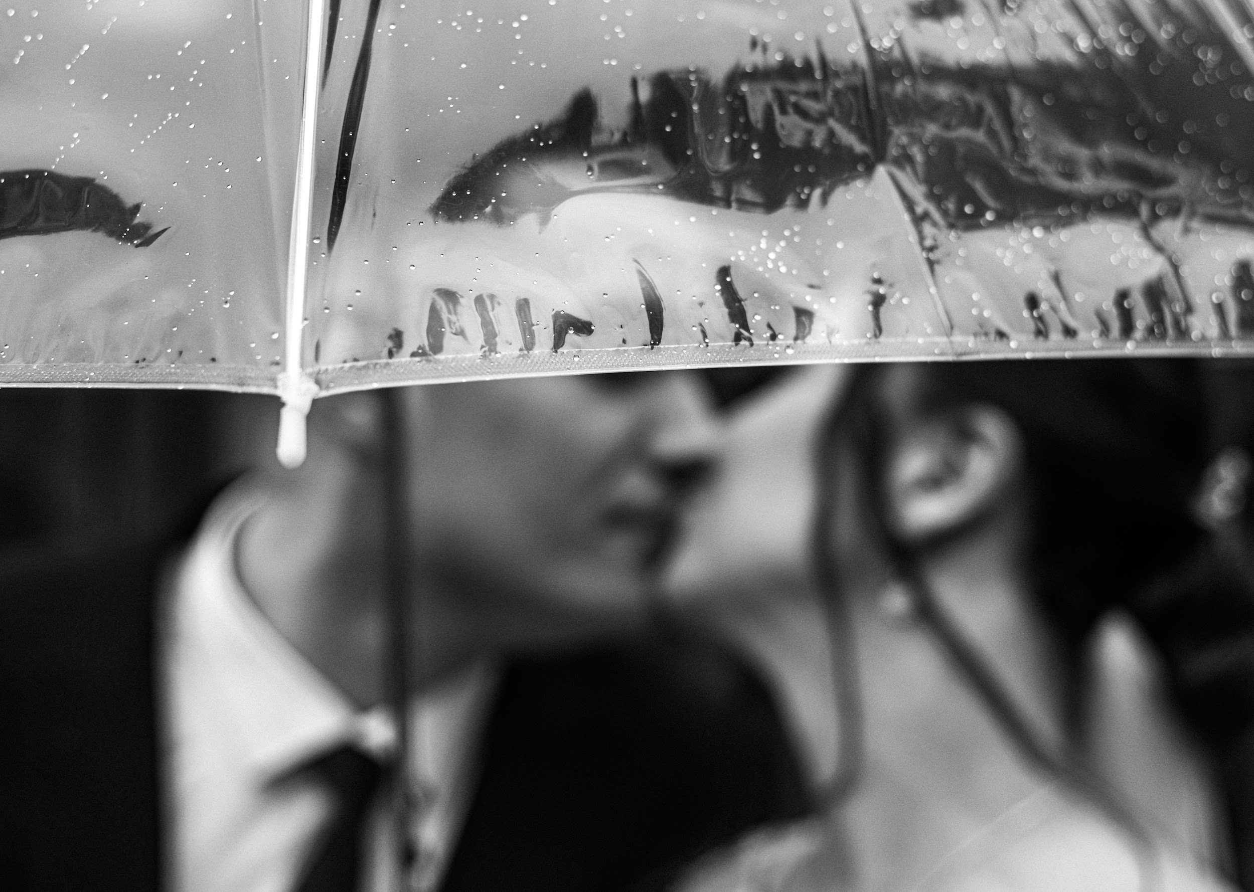 FoRest. Свадебный фотограф в Минске Вадим Бурчик