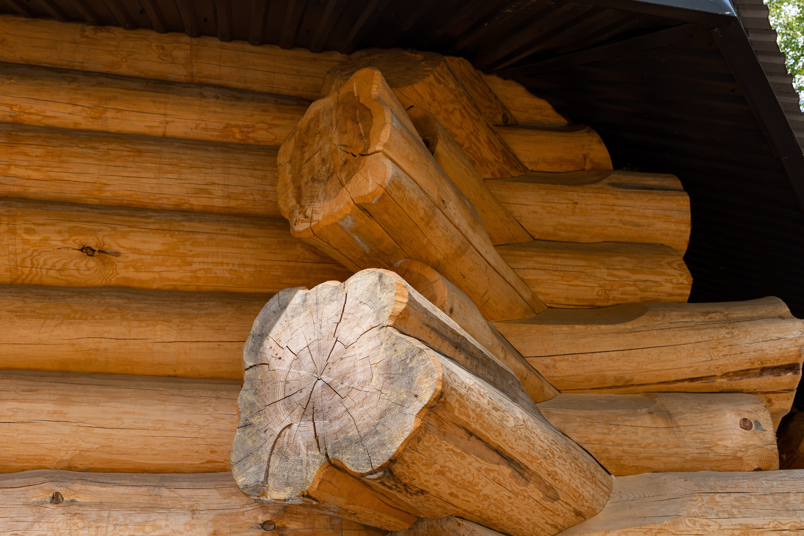 Камнево. Фотограф Денис Лесковский (Тюмень)