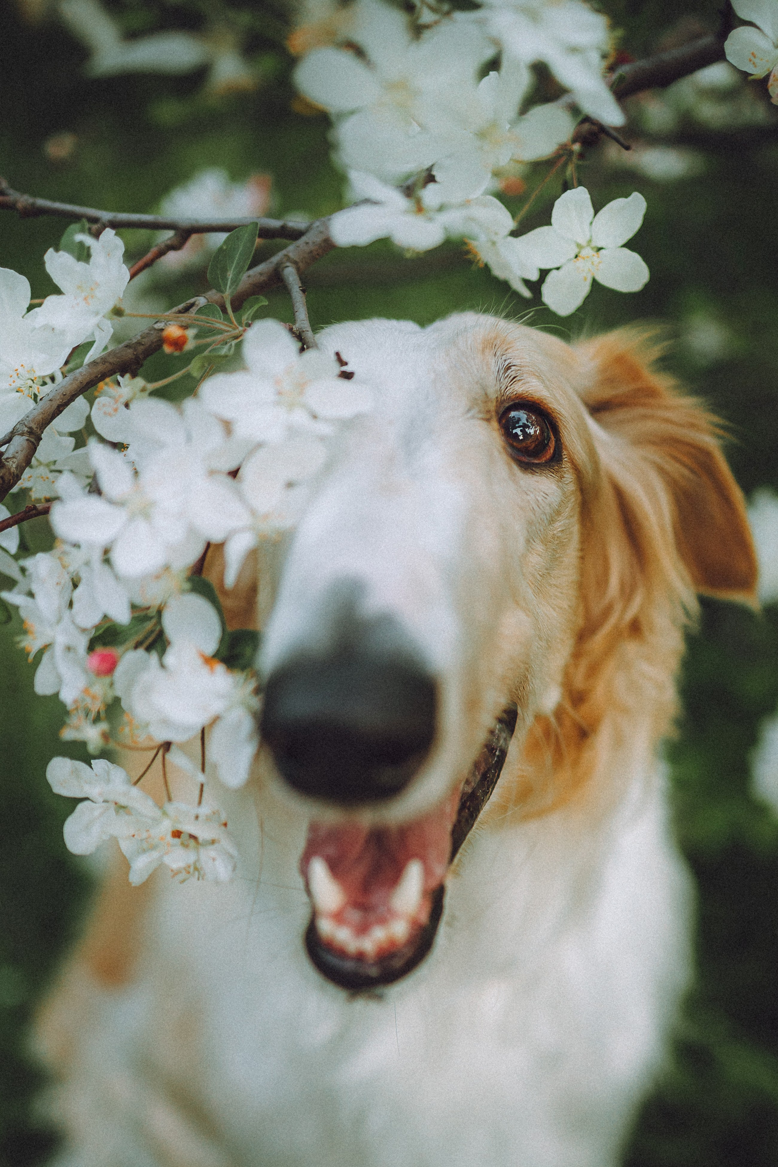 Илай, Зайка и их семья