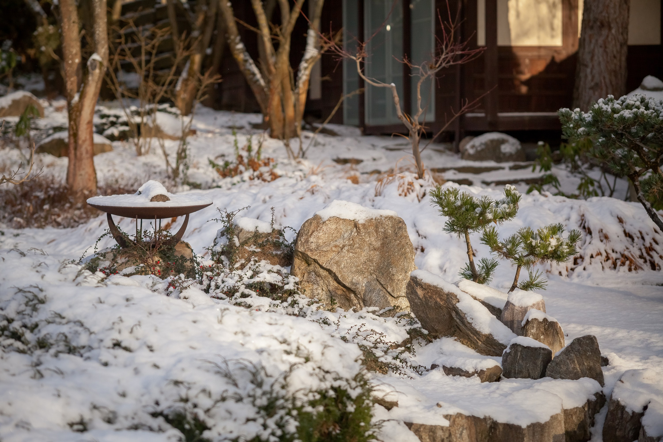 ОДНИМ СОЛНЕЧНЫМ ЗИМНИМ ДНЁМ!. Туманов Виталий — фотограф Москва