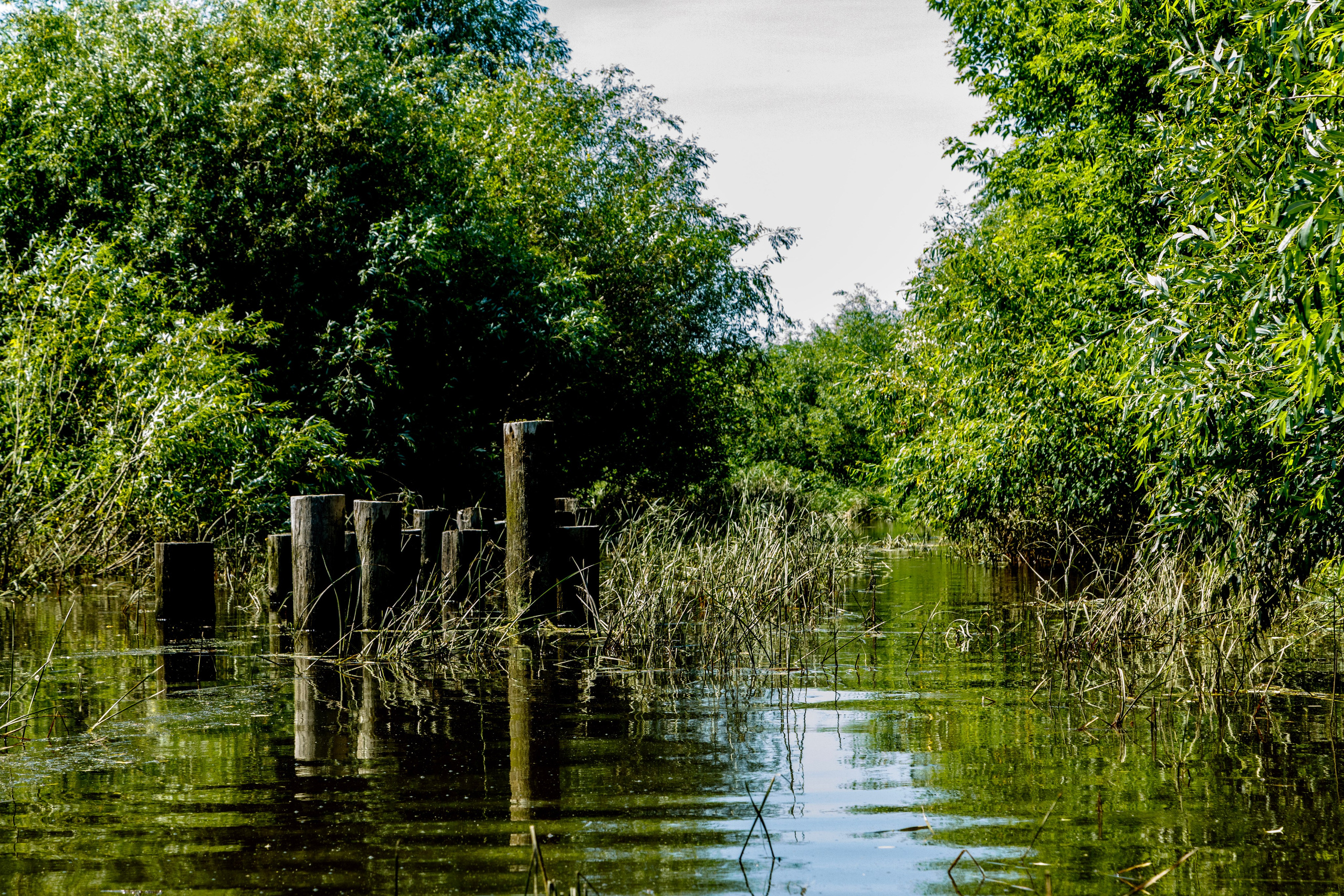 Прогулки по реке. Фотограф Андрей Гузеев