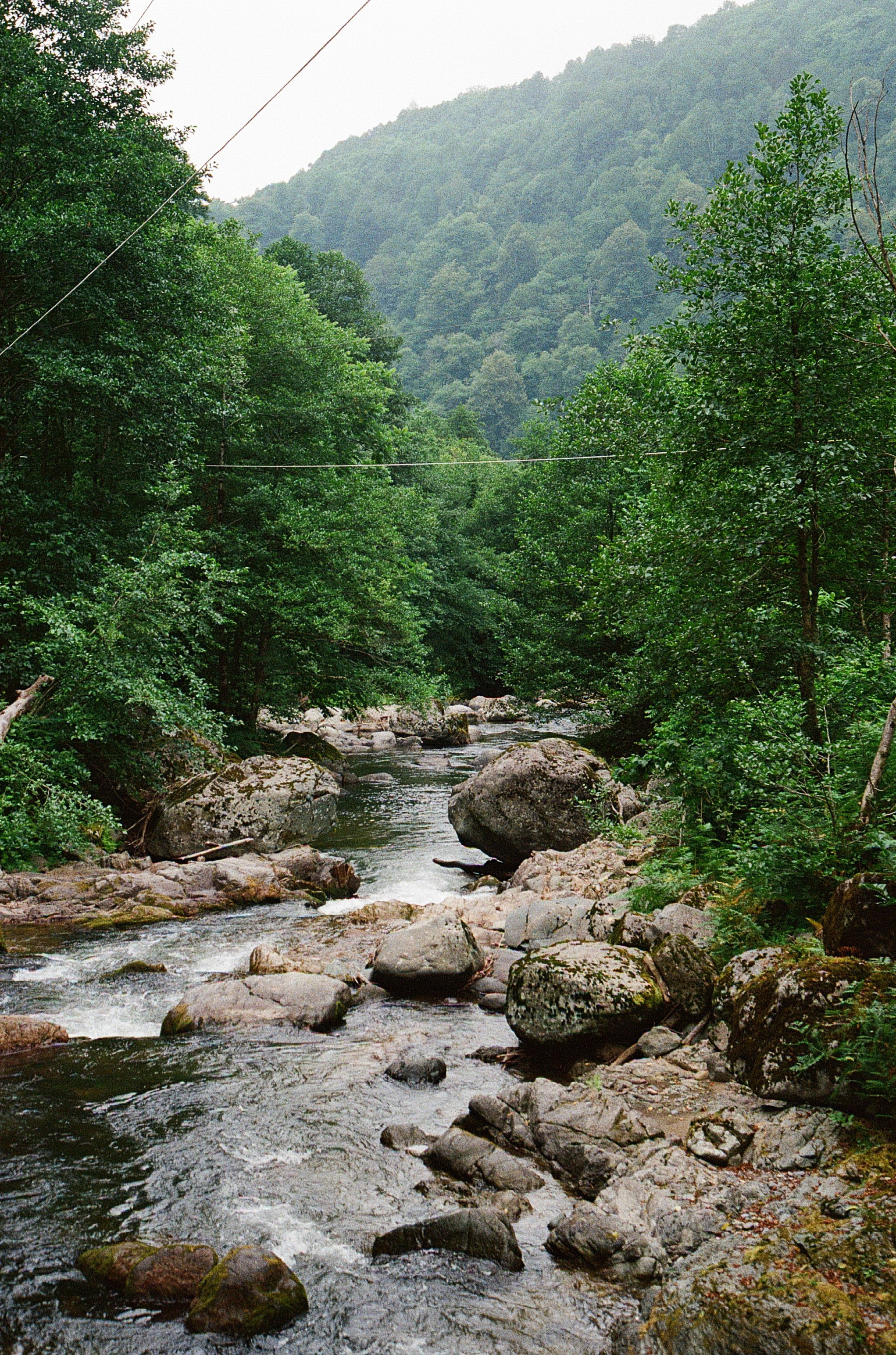 ГРУЗИЯ. ПРИРОДА.25. Профессиональный фотограф Федотова Арина