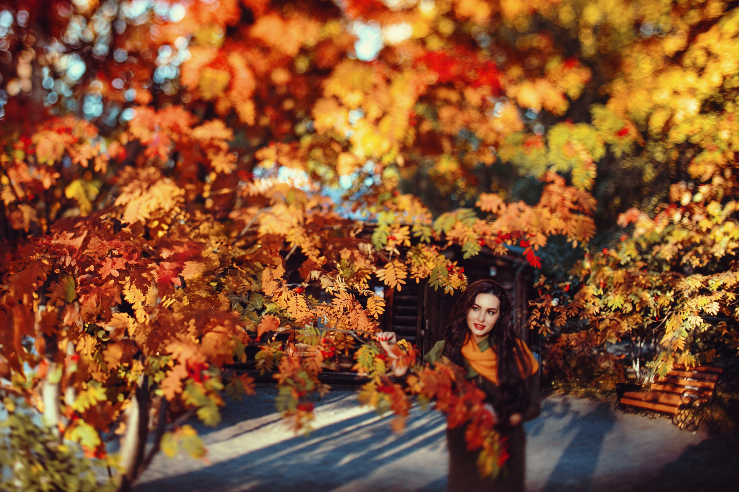 Багрец и золото. Фотограф Елена Вишневская (Ушакова) Нефтеюганск, Сургут, Тюмень