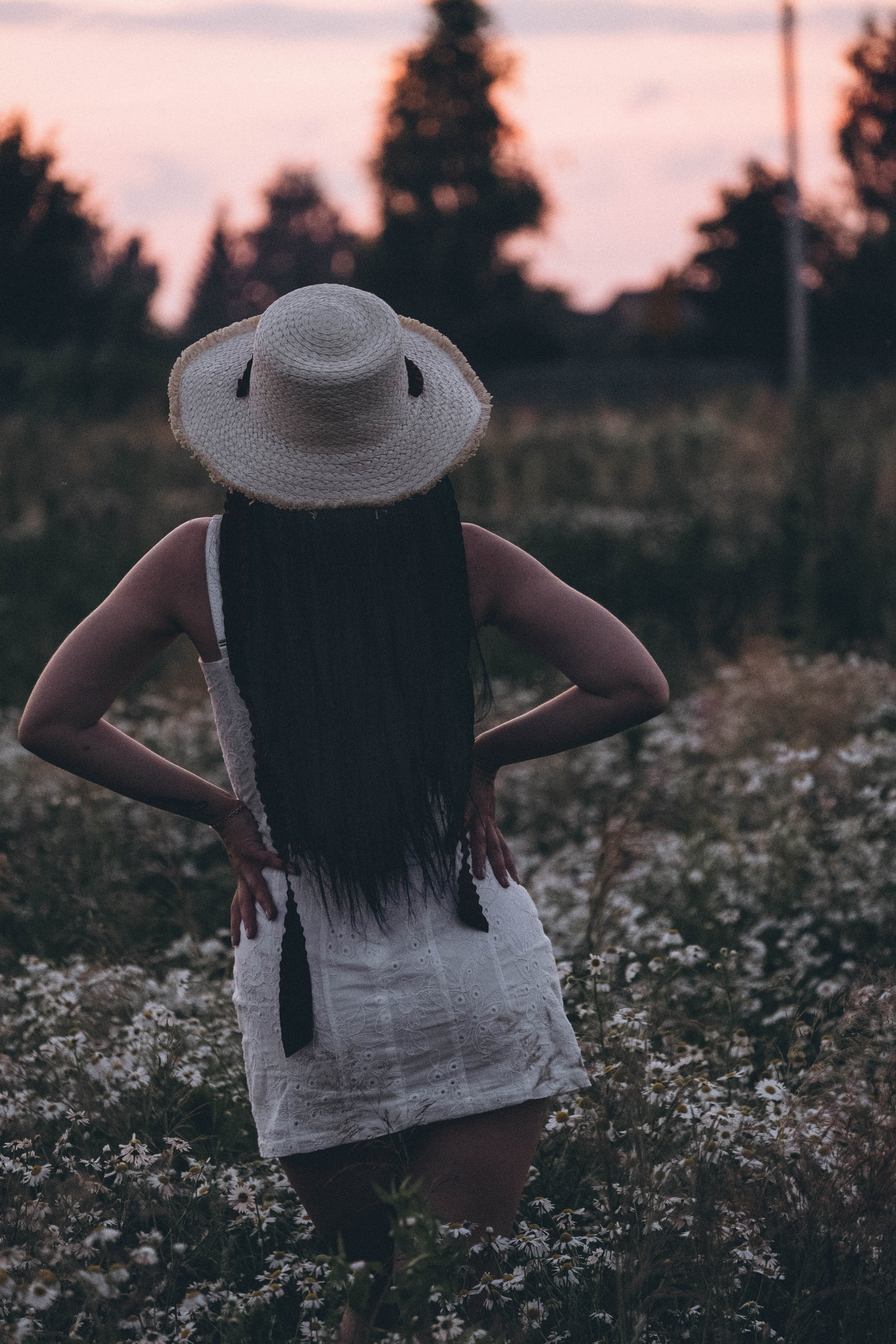 Ромашковое поле. Профессиональный фотограф, Санкт-Петербург — Виктория Богомолова