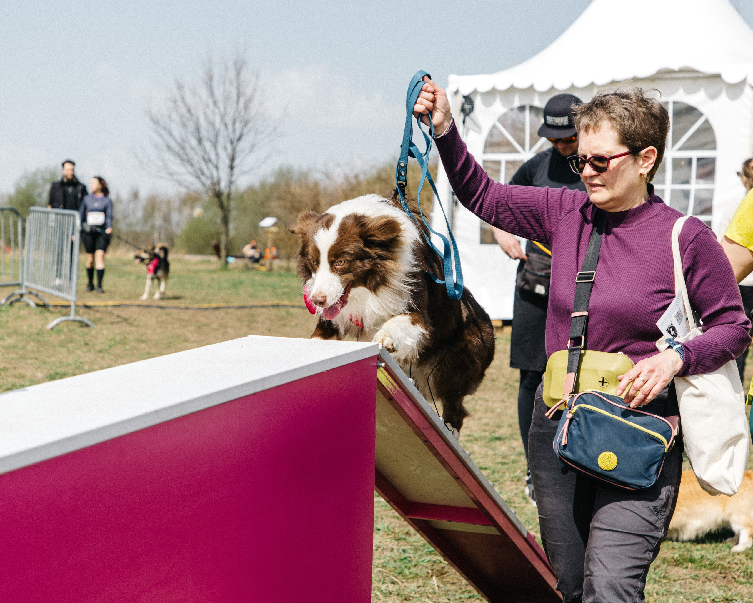 Кросс «Быстрый пёс» 2025. Репортажный фотограф в Москве