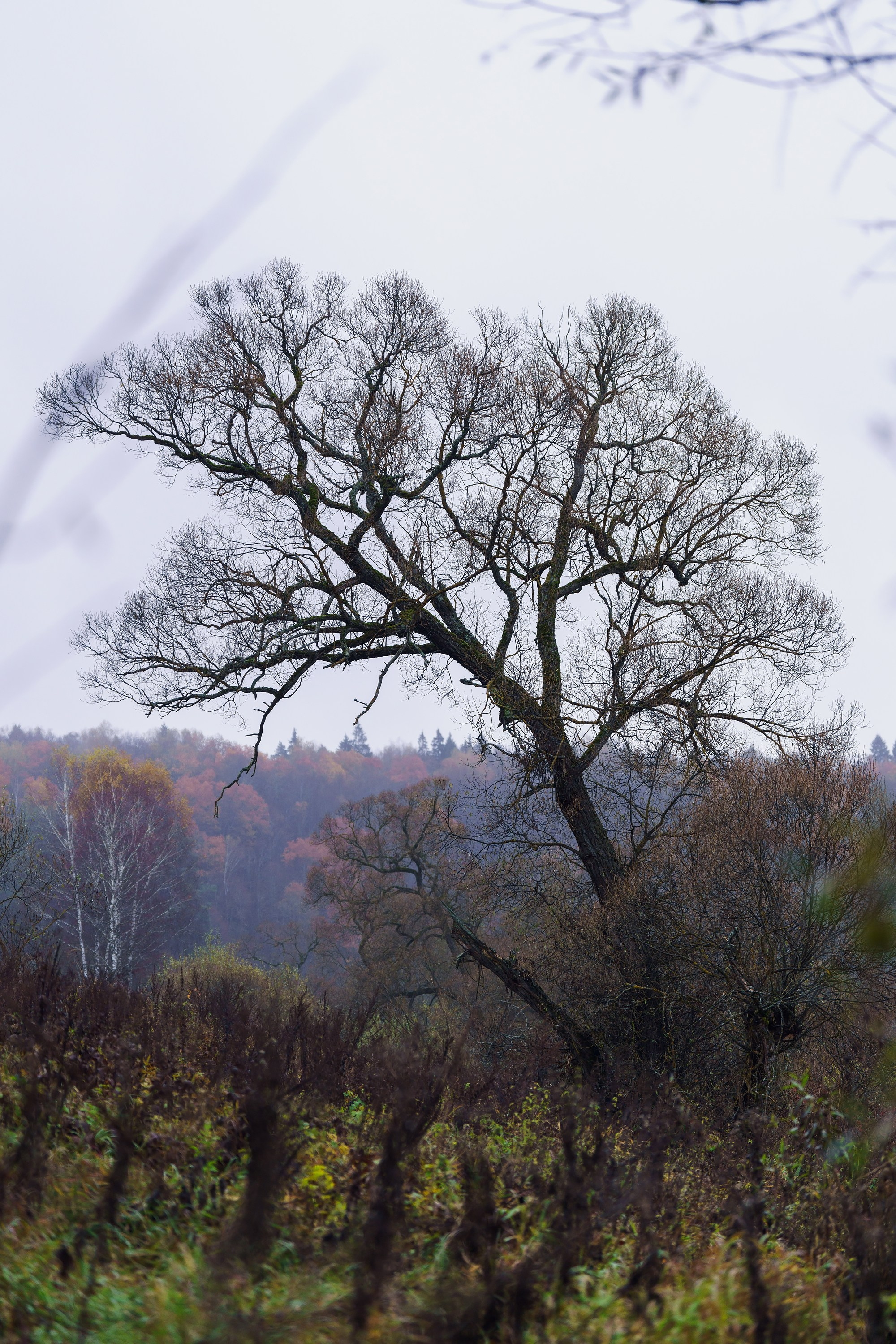 Фотографии Трейл Кутузов 2025. Фотограф спортивные события, недвижимость, турбизнес