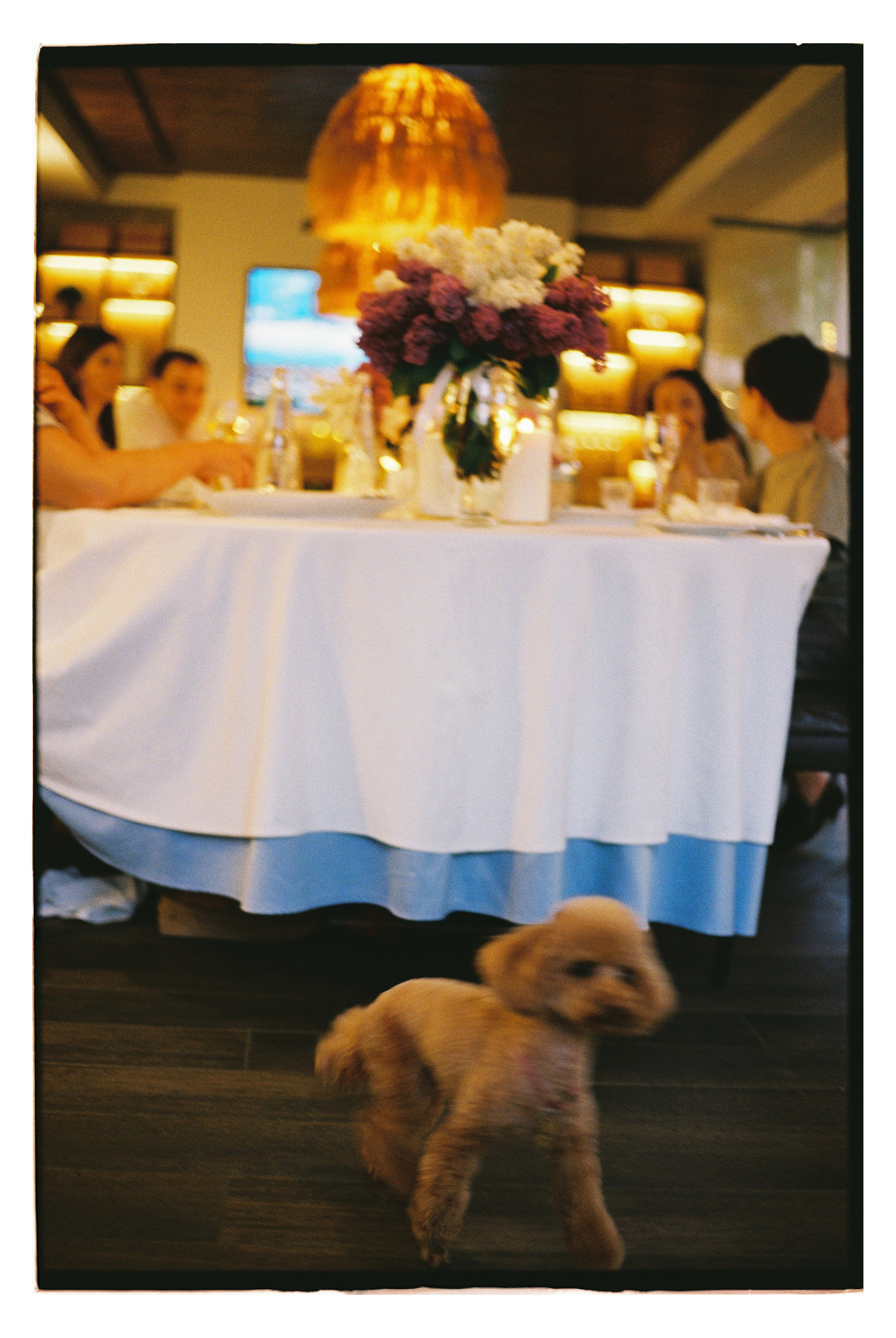 Evgeniya_Fedor. Сентиментальная свадебная фотография