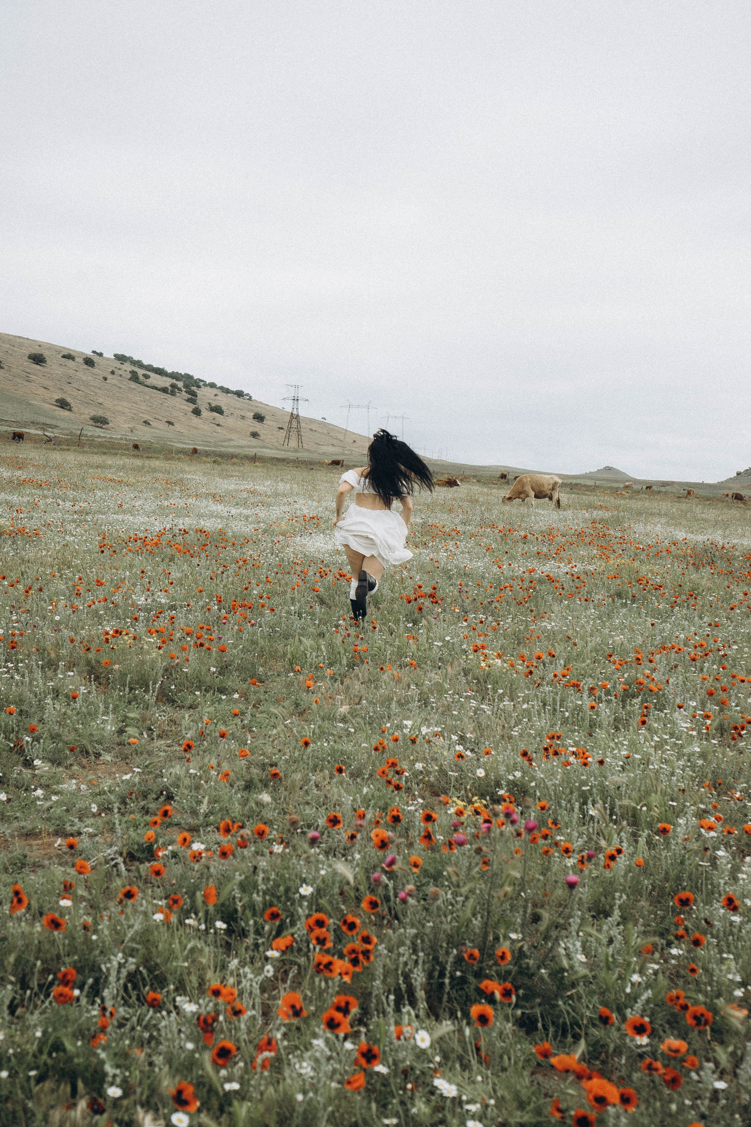 Маковое поле. Профессиональный фотограф, Санкт-Петербург — Виктория Богомолова