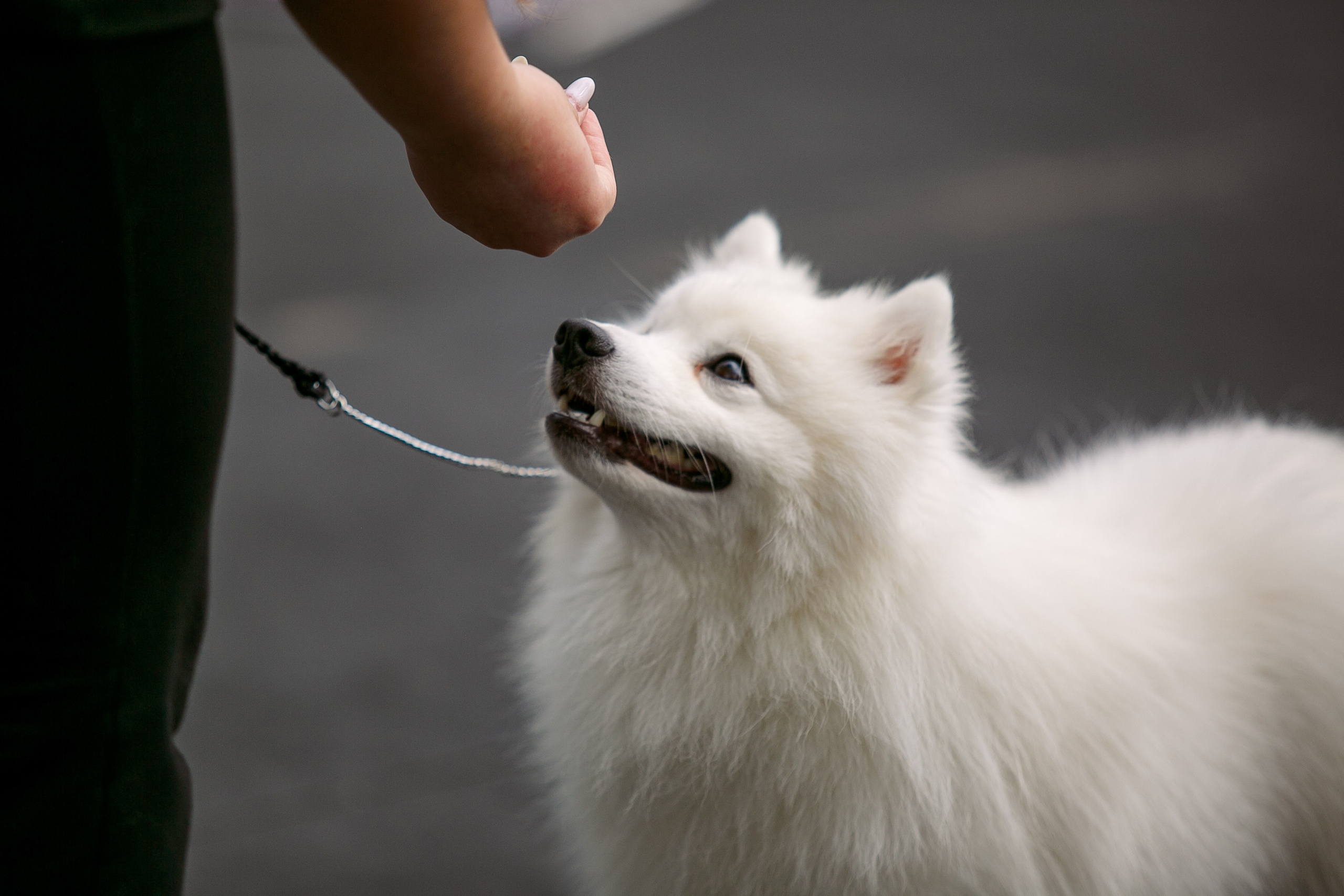 Окунулась вновь в атмосферу выставки…. Школьный фотограф в Туле Светлана Привезенцева