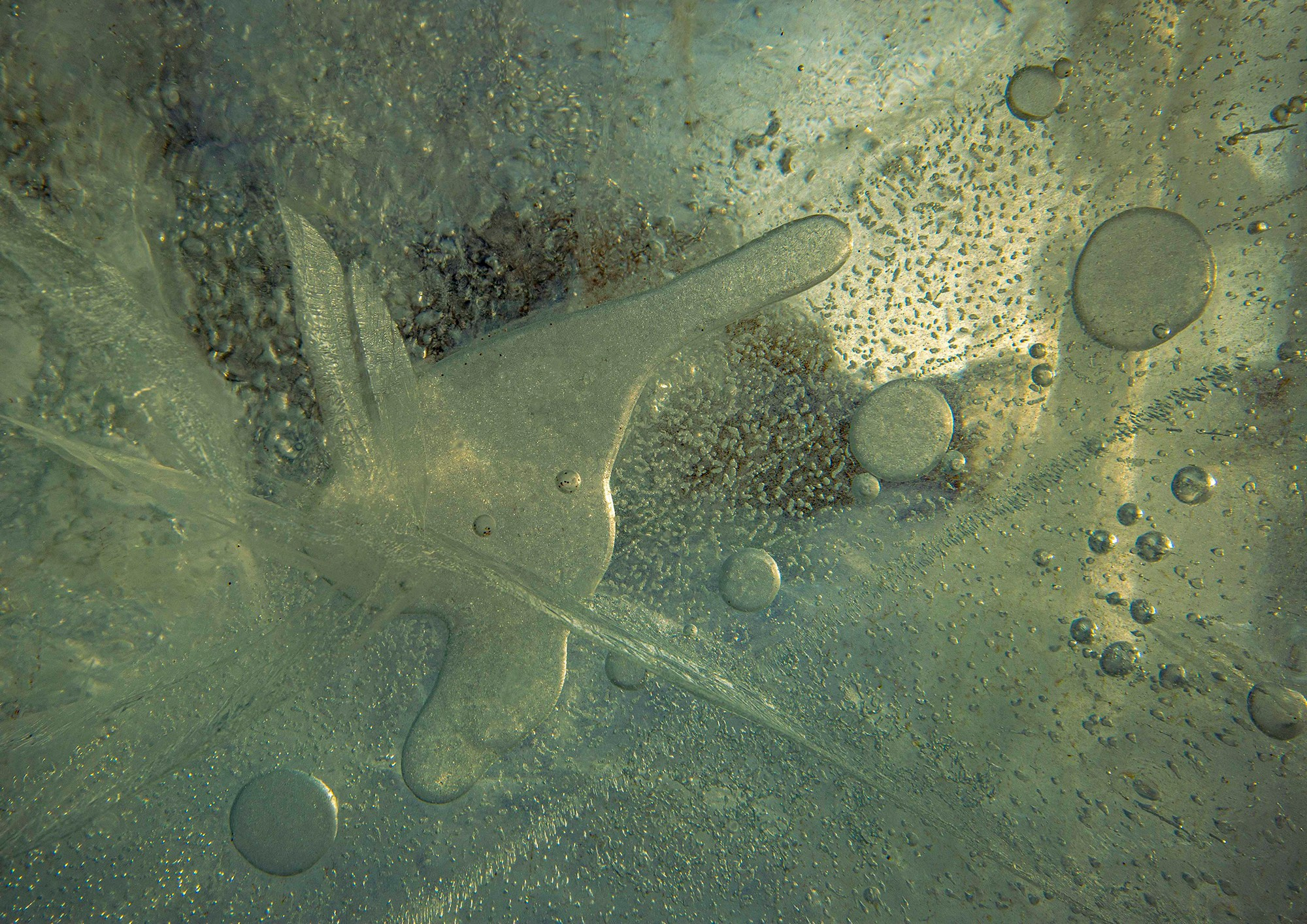 «Мы здесь». Фотограф Переверзева Наталья / Ханты-Мансийск