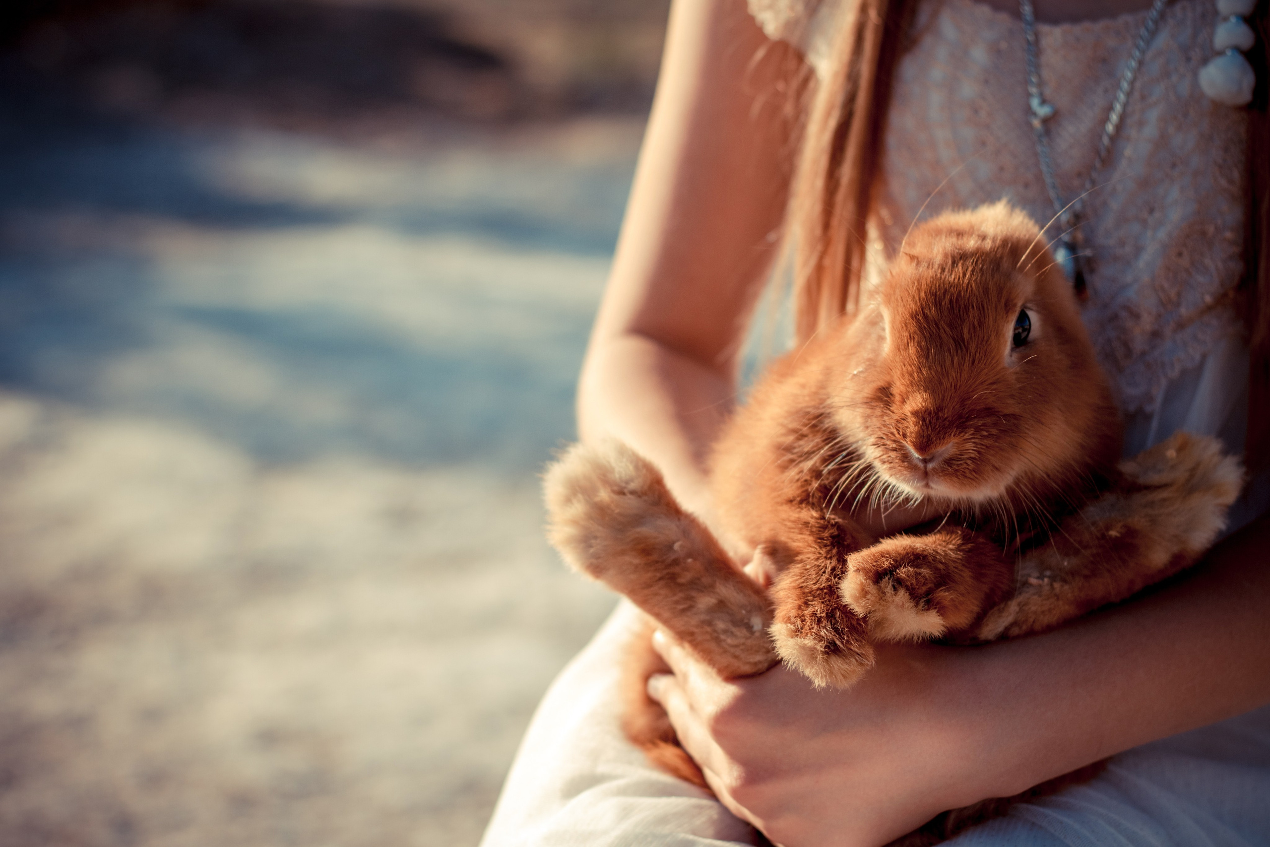 Даша и Белка. Вера Соколова фотограф Воронеж