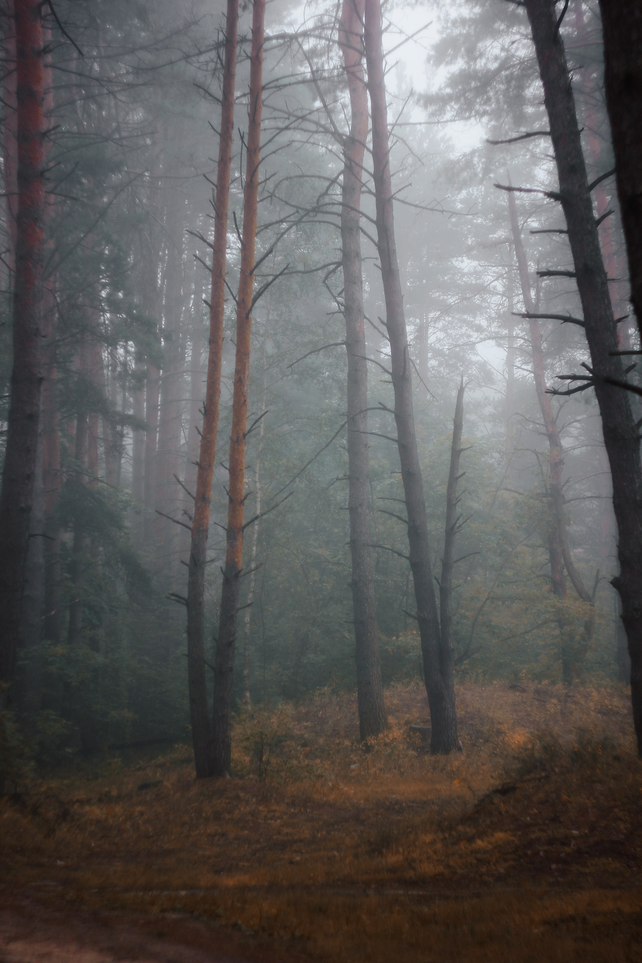 Меланхолия августа. С любовью, фотохудожник