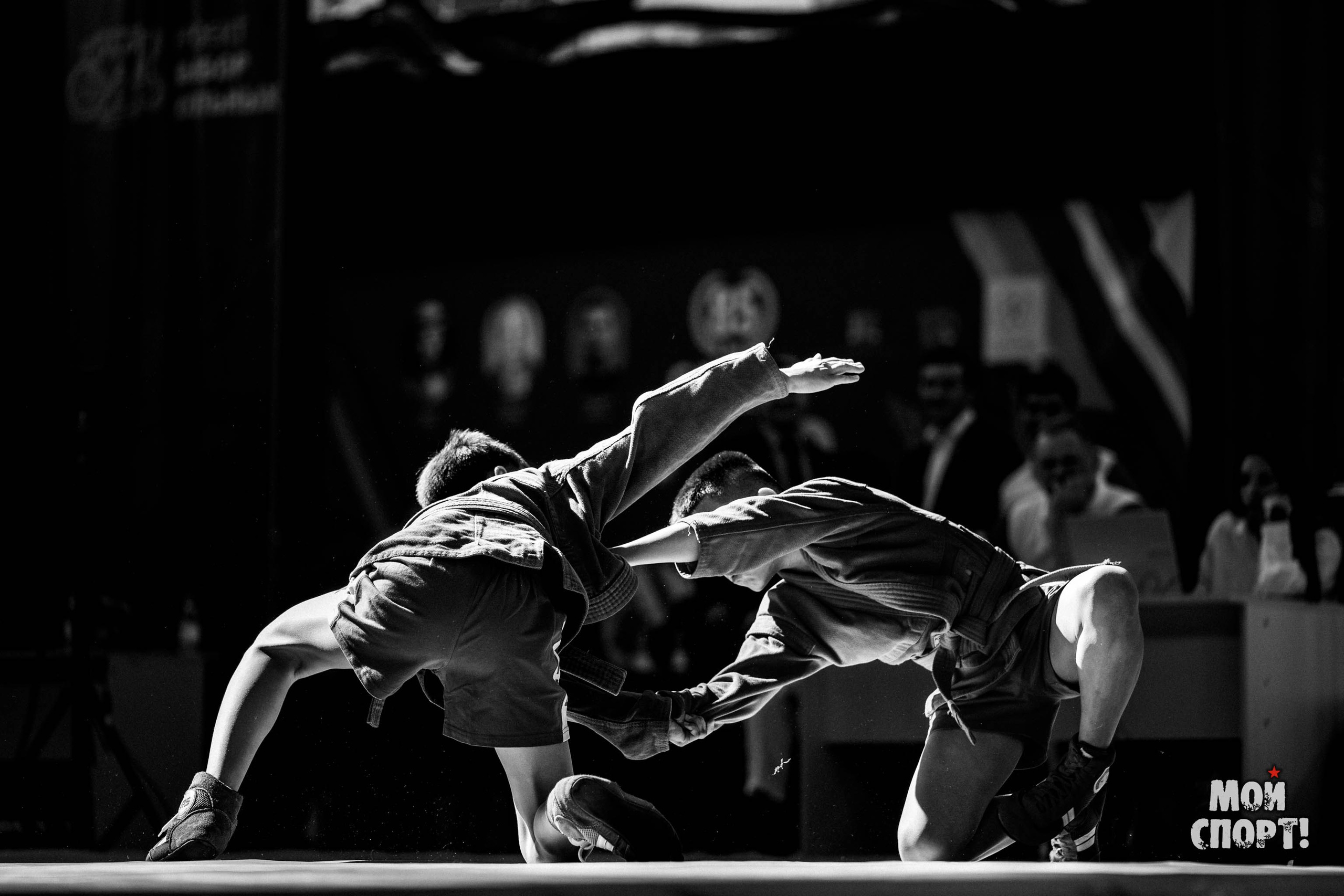 Всероссийские соревнования по самбо «Победа». Студия «Мой Спорт!» — все о спорте в Якутии