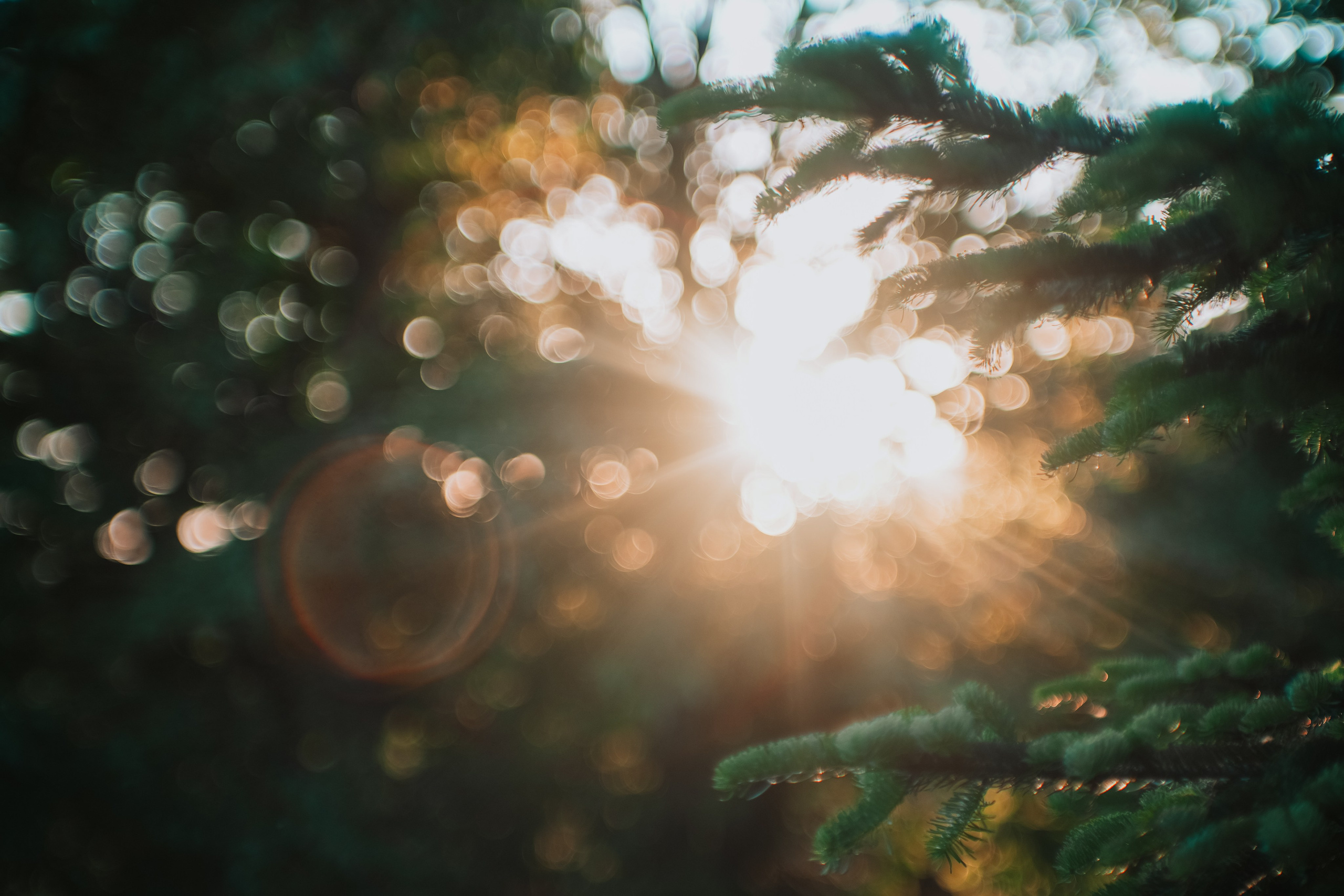 Нахазо ✽ Июль. Репортажный фотограф | Роза Хутор Красная Поляна Сочи Сириус