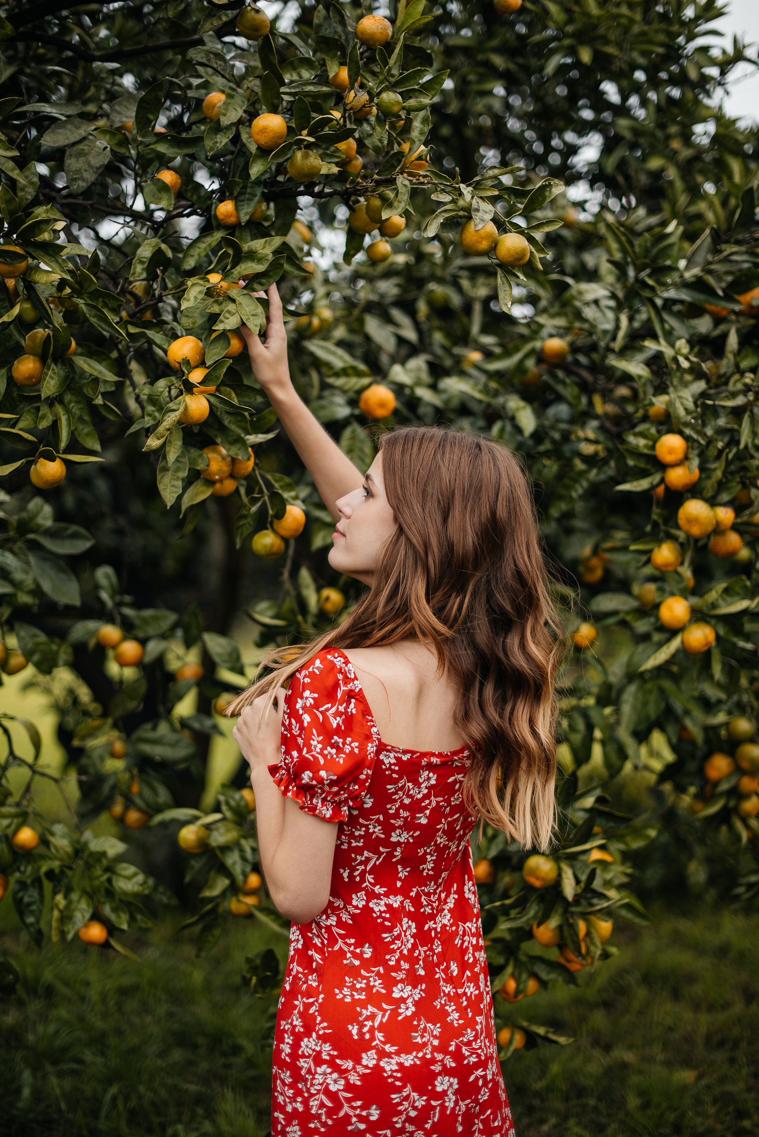 Арсений и София. Свадебный и семейный фотограф Кореновск/Краснодар